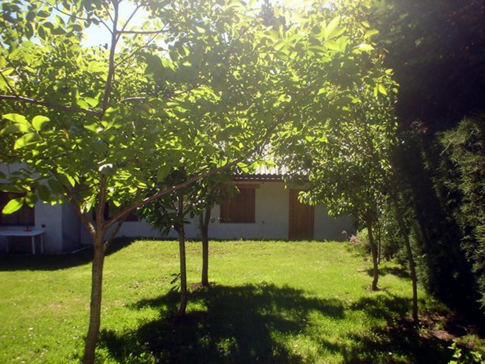 Quintral nº1263 · Bariloche — foto 7