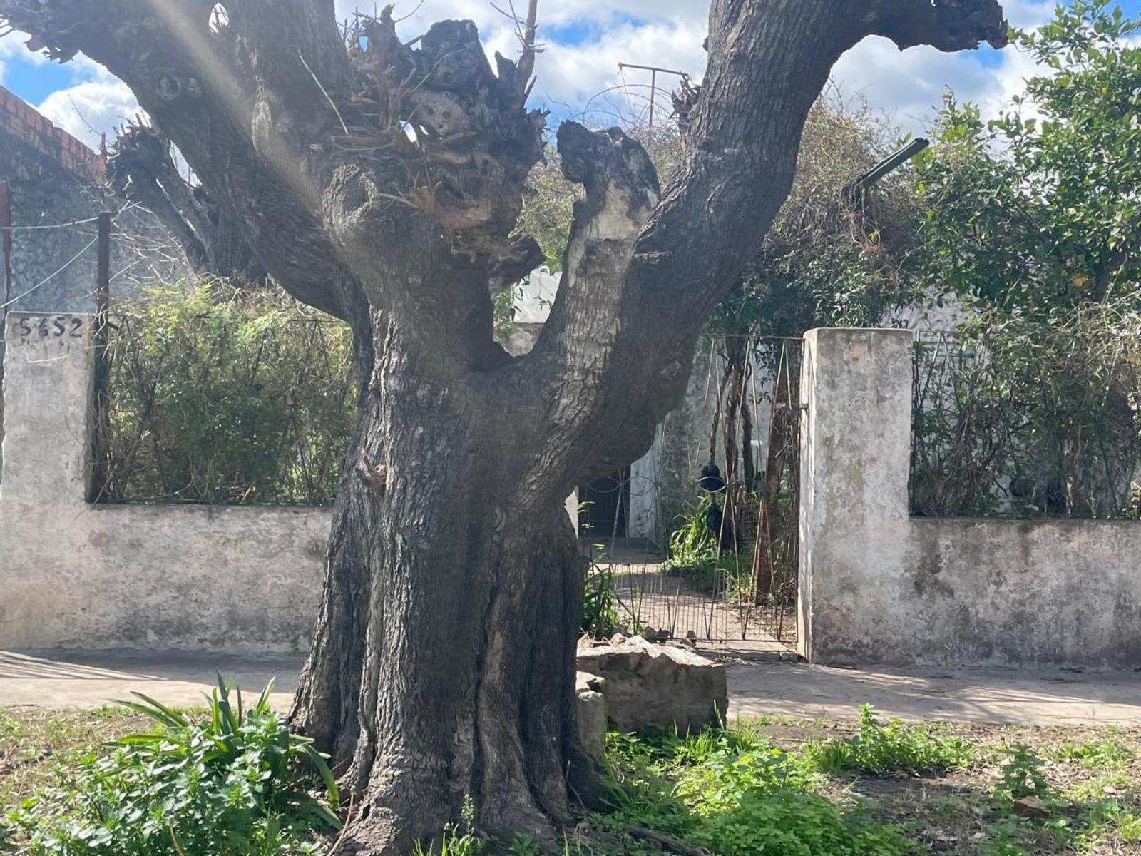 Casa de tres ambientes a la venta en José C Paz