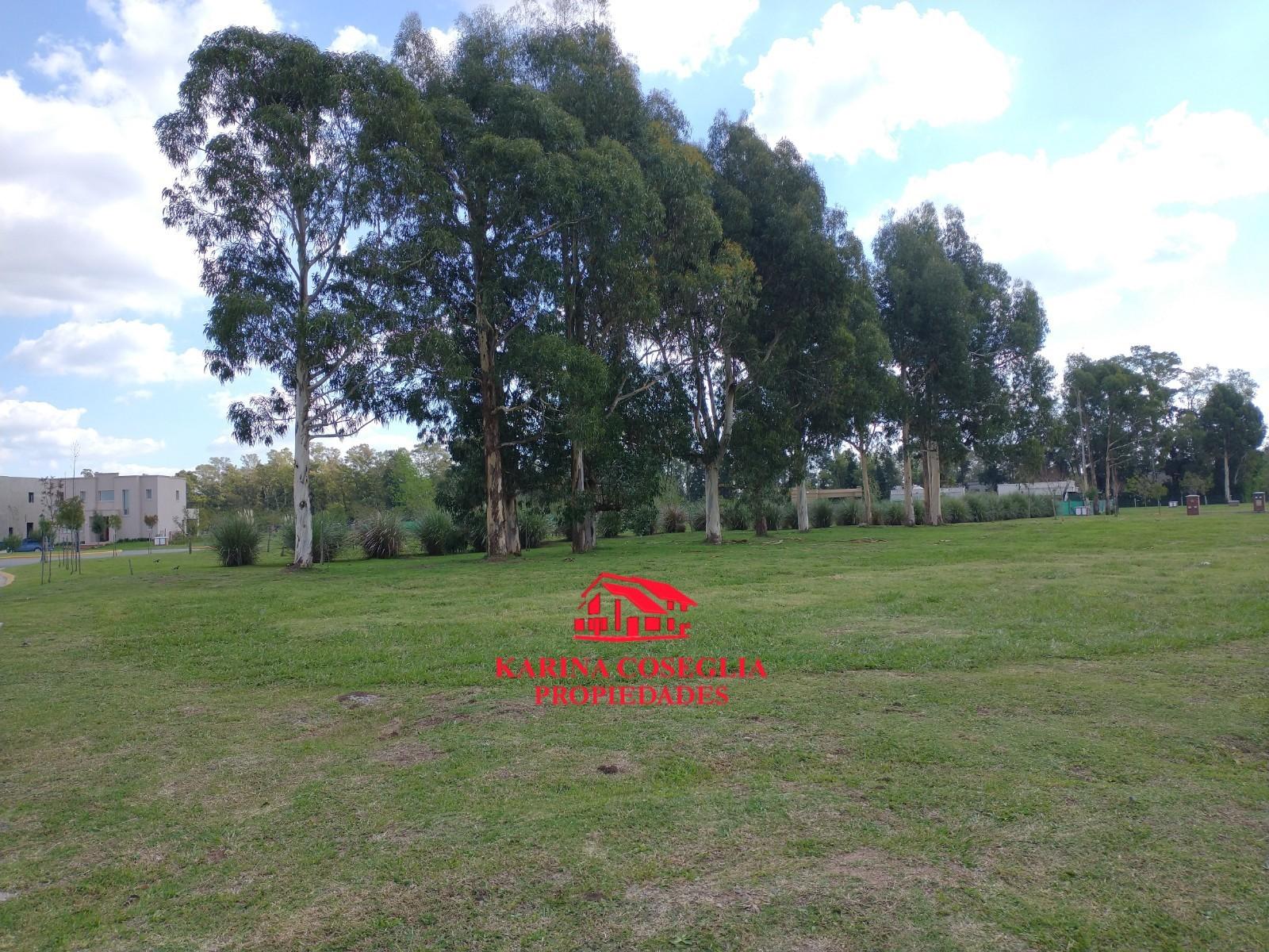 Mariano Acosta 3000 · Pilar — foto 4