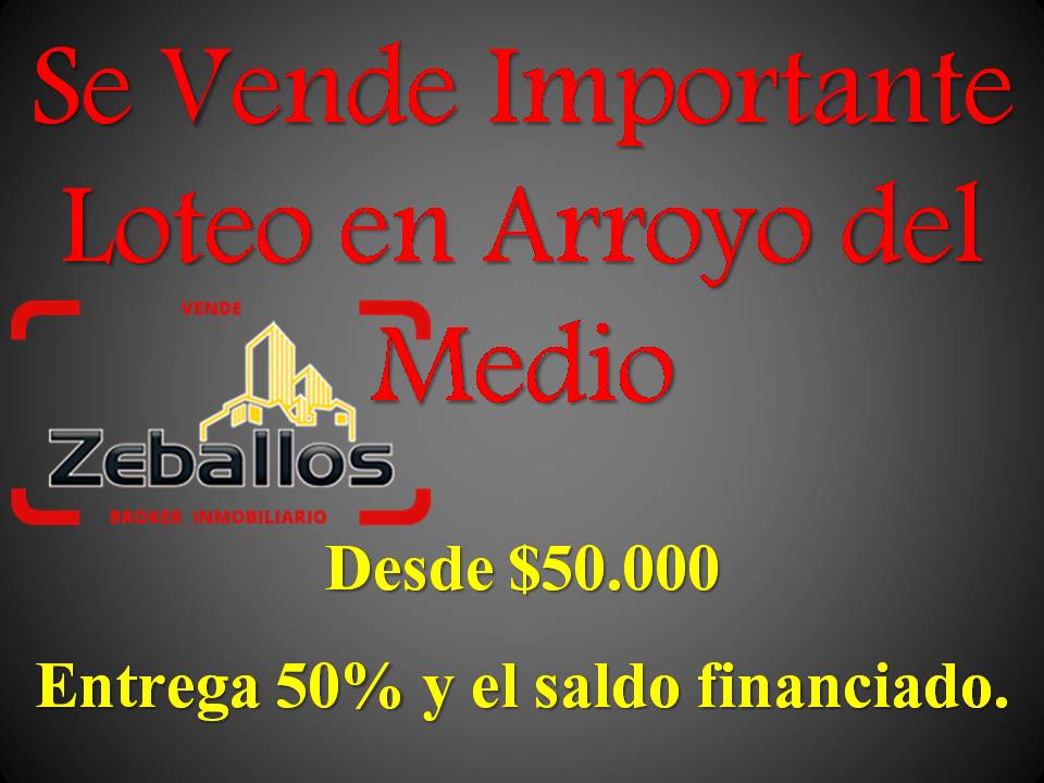 Se Vende Importante Loteo