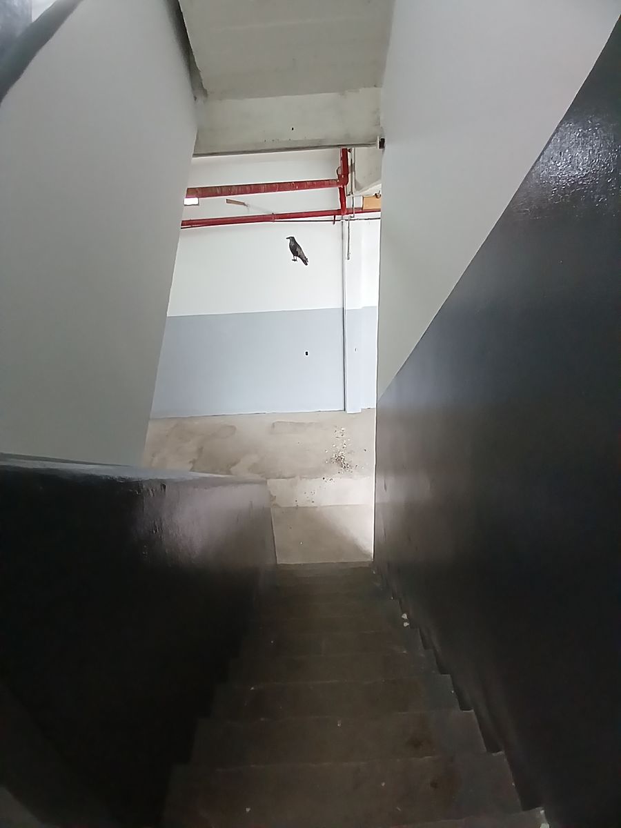 Zamudio 3975 · Villa Pueyrredon — foto 56