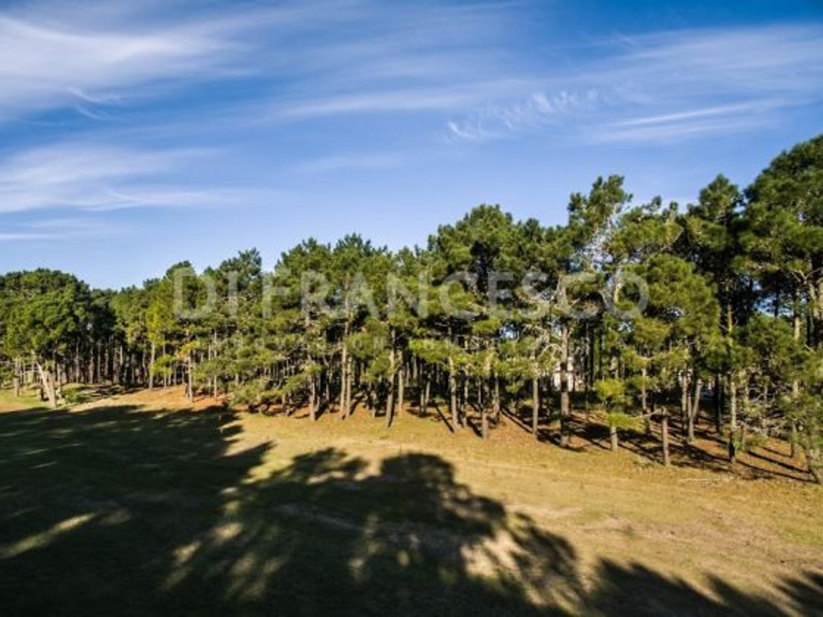 Cul de Sac Hoyo 15 al 100 · Pinamar — foto 4