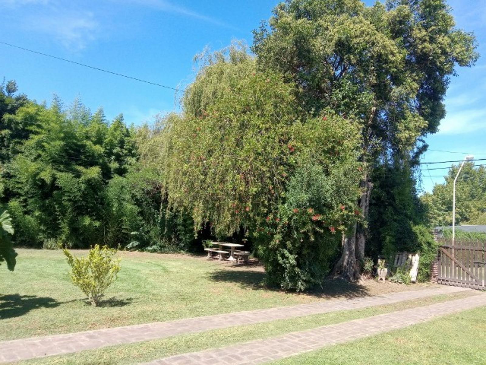 Suipacha y Casey · General Las Heras — foto 3