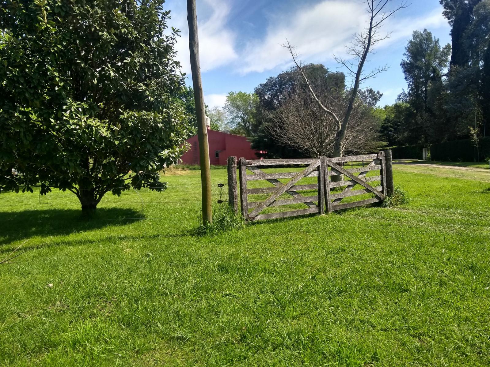 Cedro 100 · Exaltacion De La Cruz — foto 15