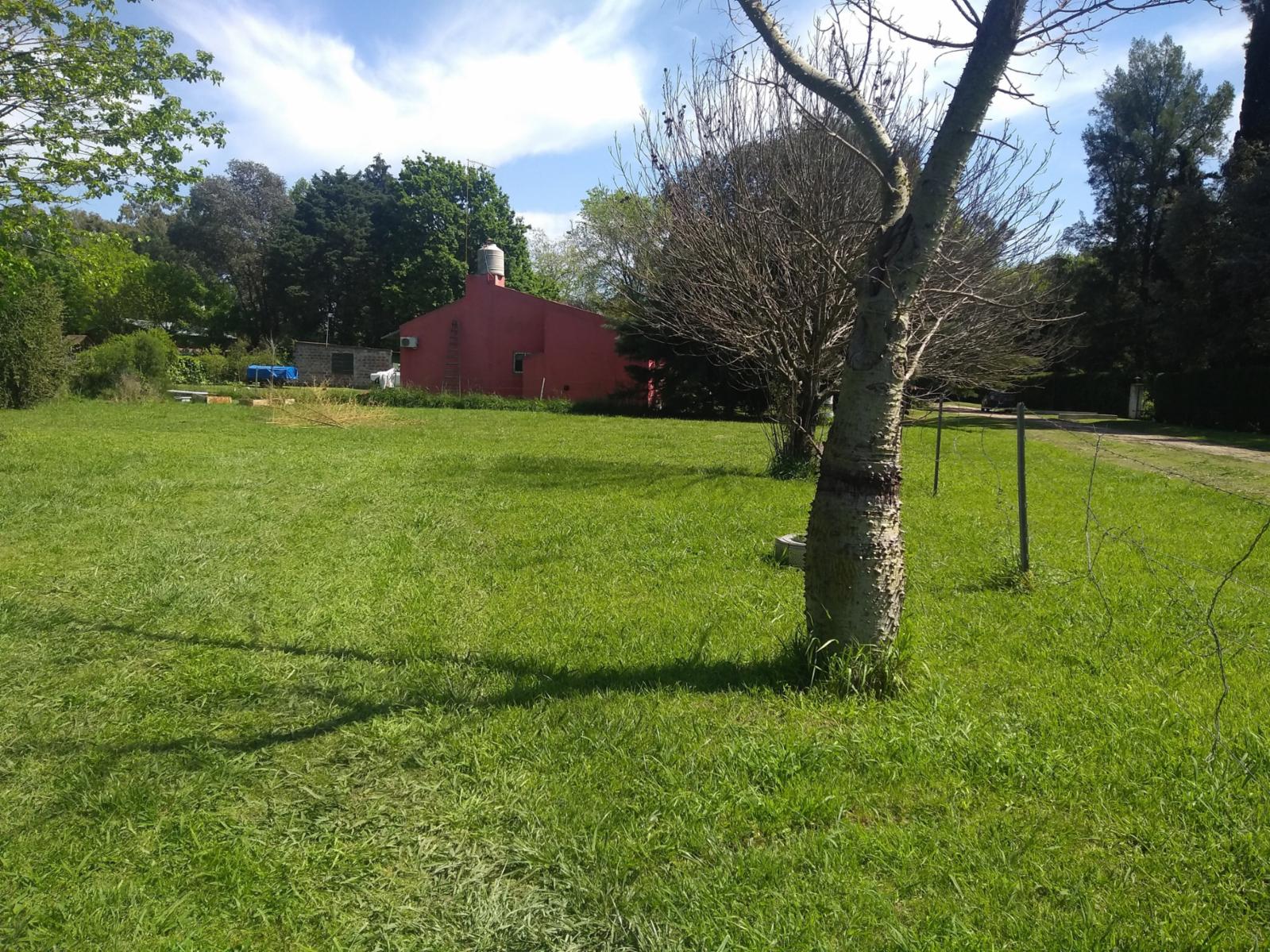 Cedro 100 · Exaltacion De La Cruz — foto 16