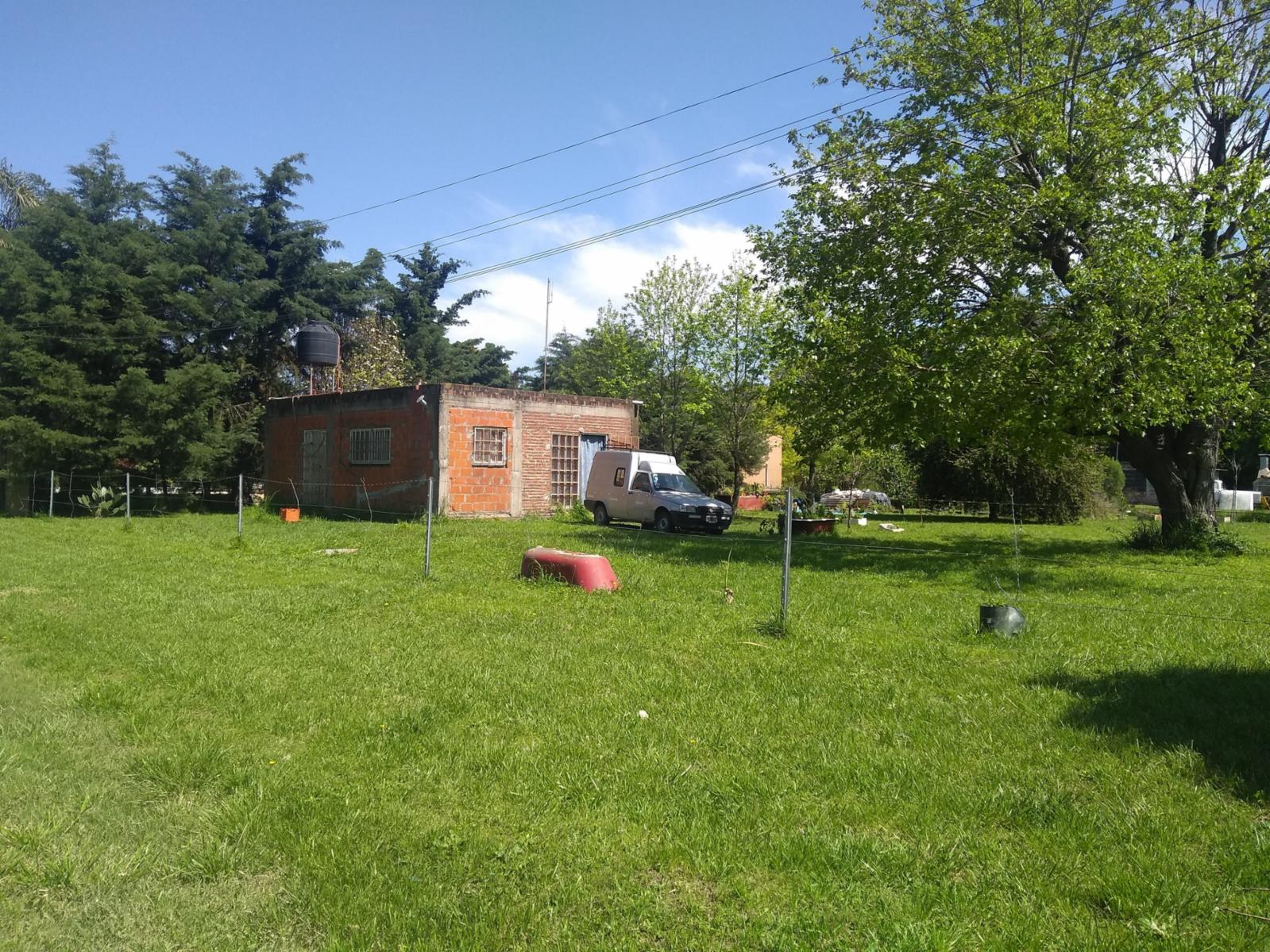 Cedro 100 · Exaltacion De La Cruz — foto 6