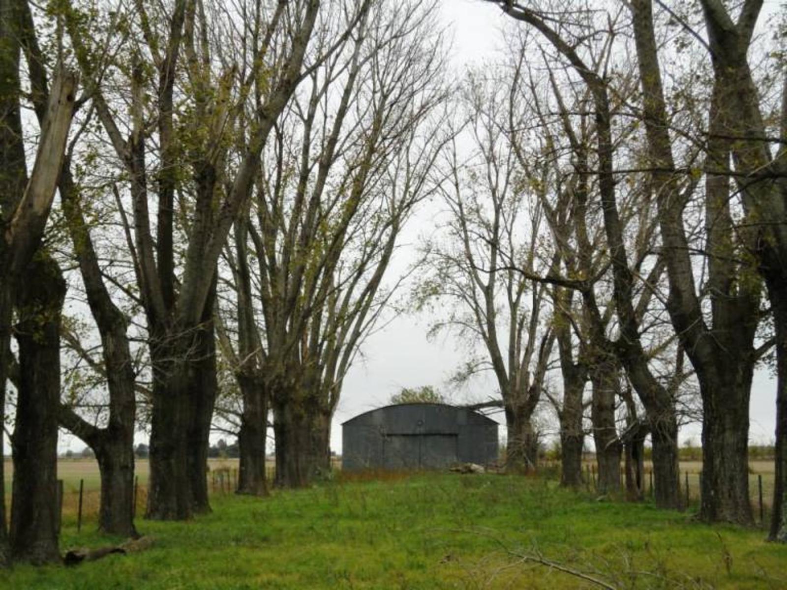 Ruta 51 · Carmen De Areco — foto 4
