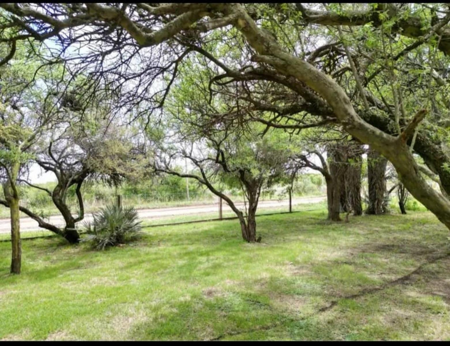 PARAJE BALCARCE, SAN LUIS · Chacabuco — foto 4