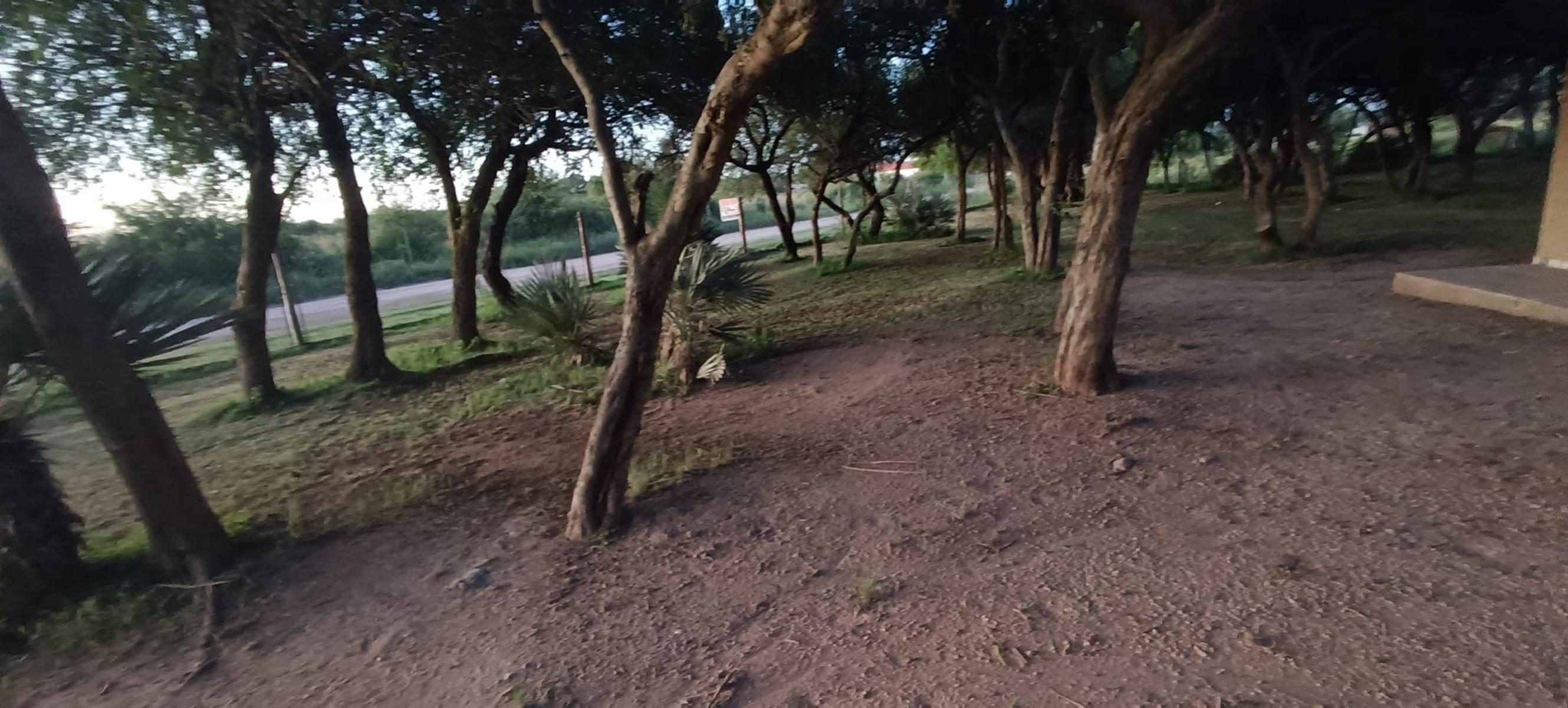 PARAJE BALCARCE, SAN LUIS · Chacabuco — foto 5