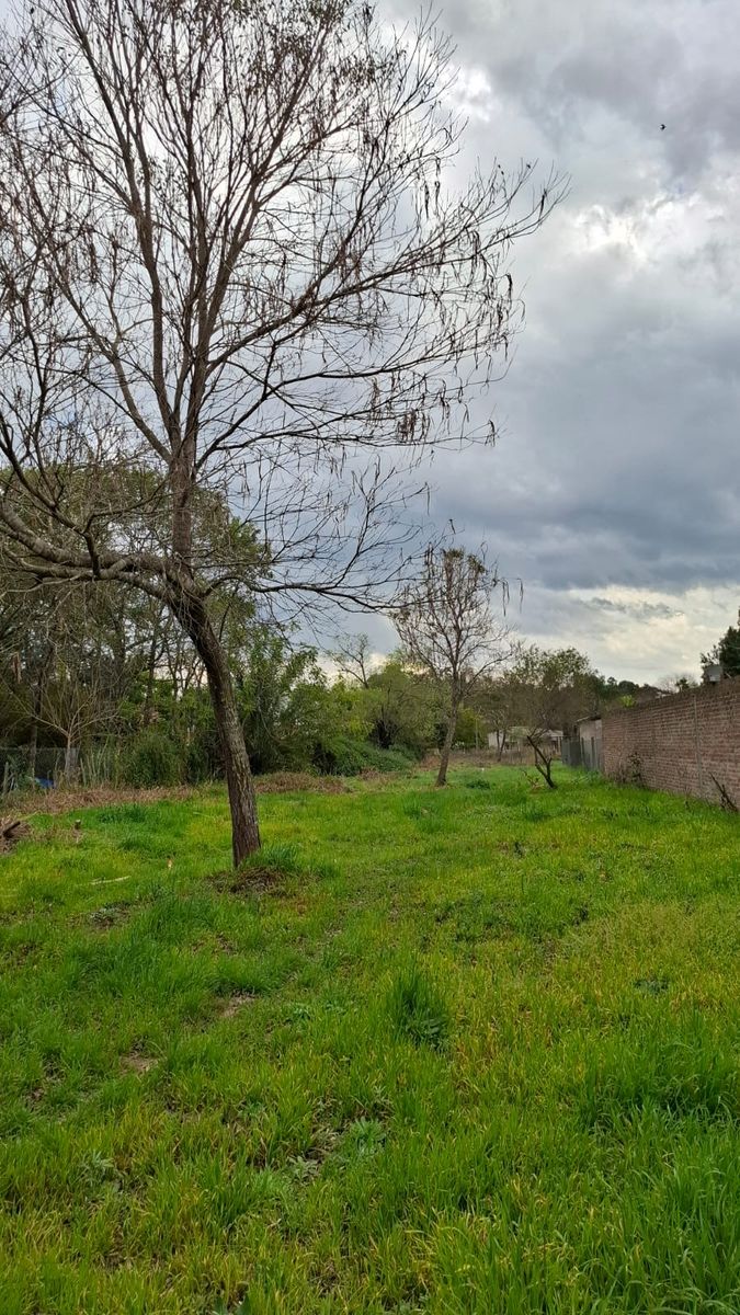 Cam. Real Sta. Rosa 5382 · La Capital — foto 3