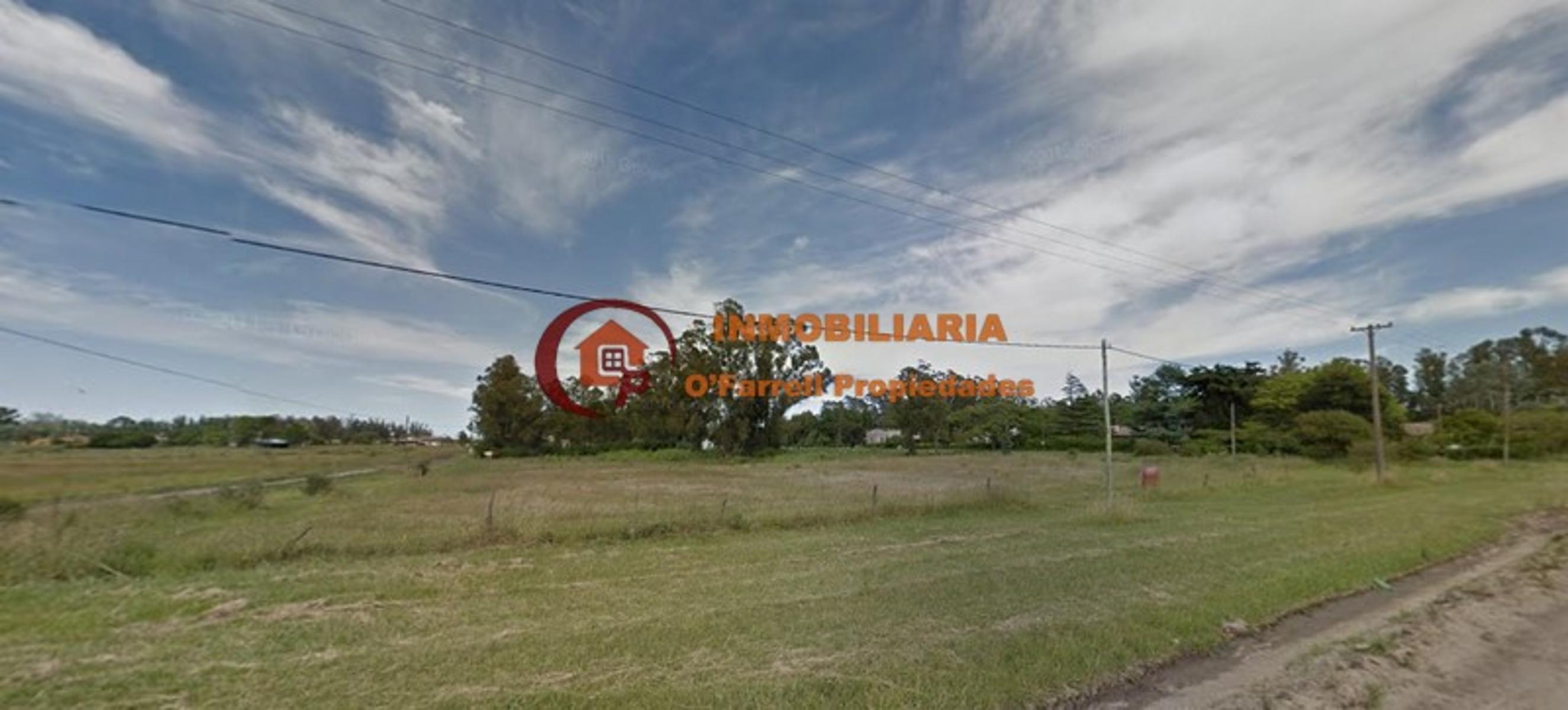 avenida 37 · General Alvarado — foto 3