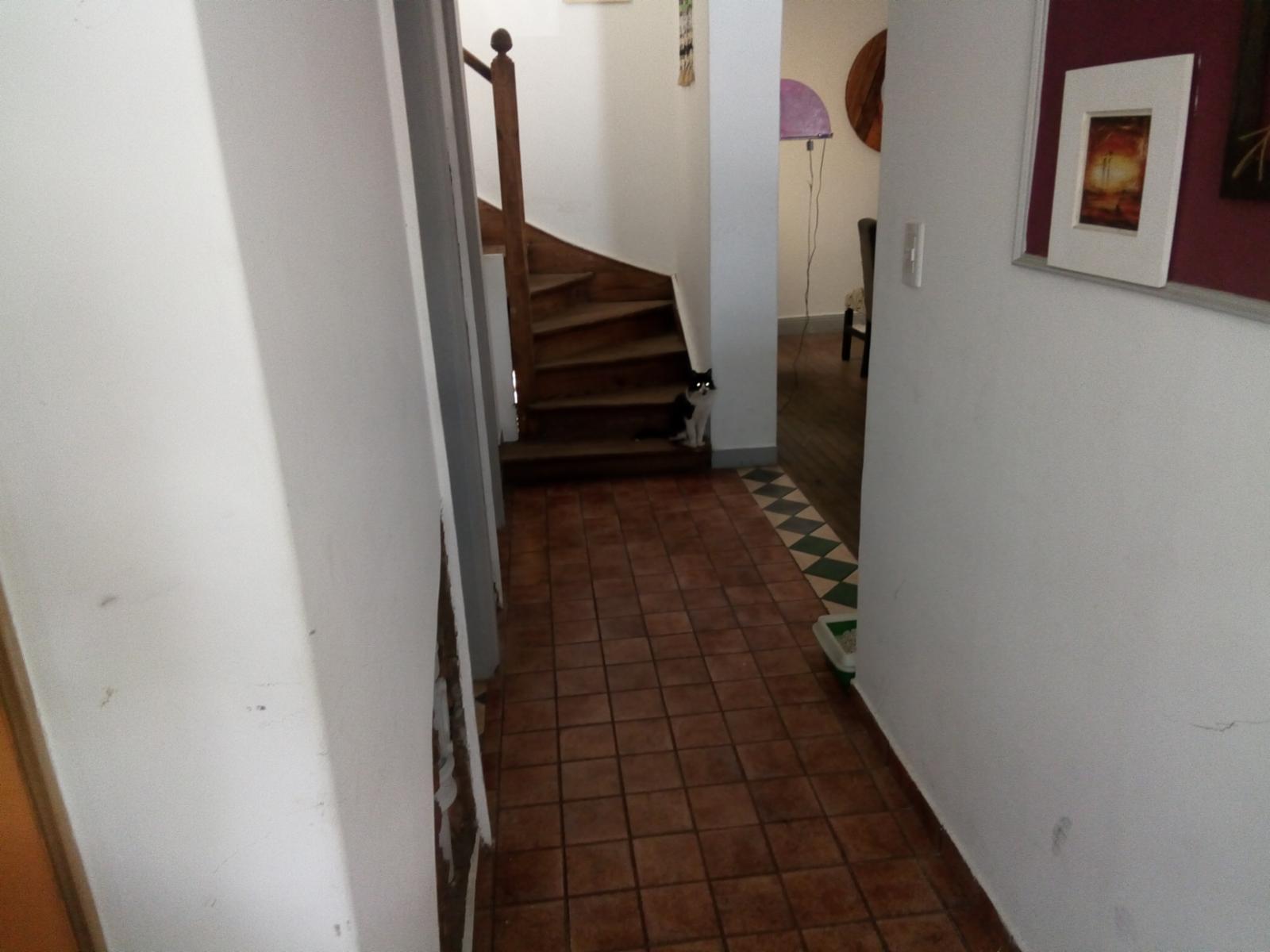 Pje Tacuara 1500 · Floresta — foto 3