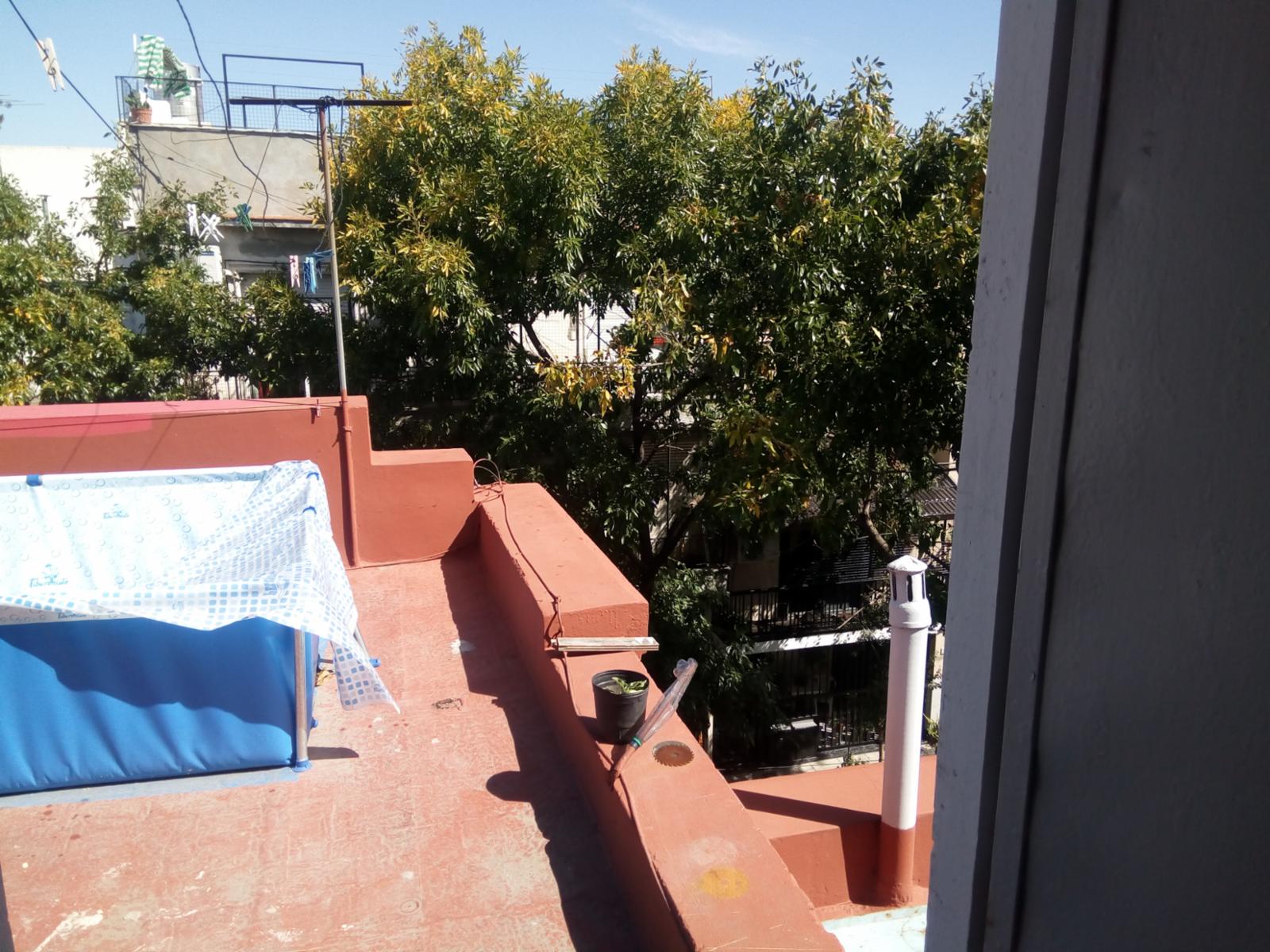 Pje Tacuara 1500 · Floresta — foto 28