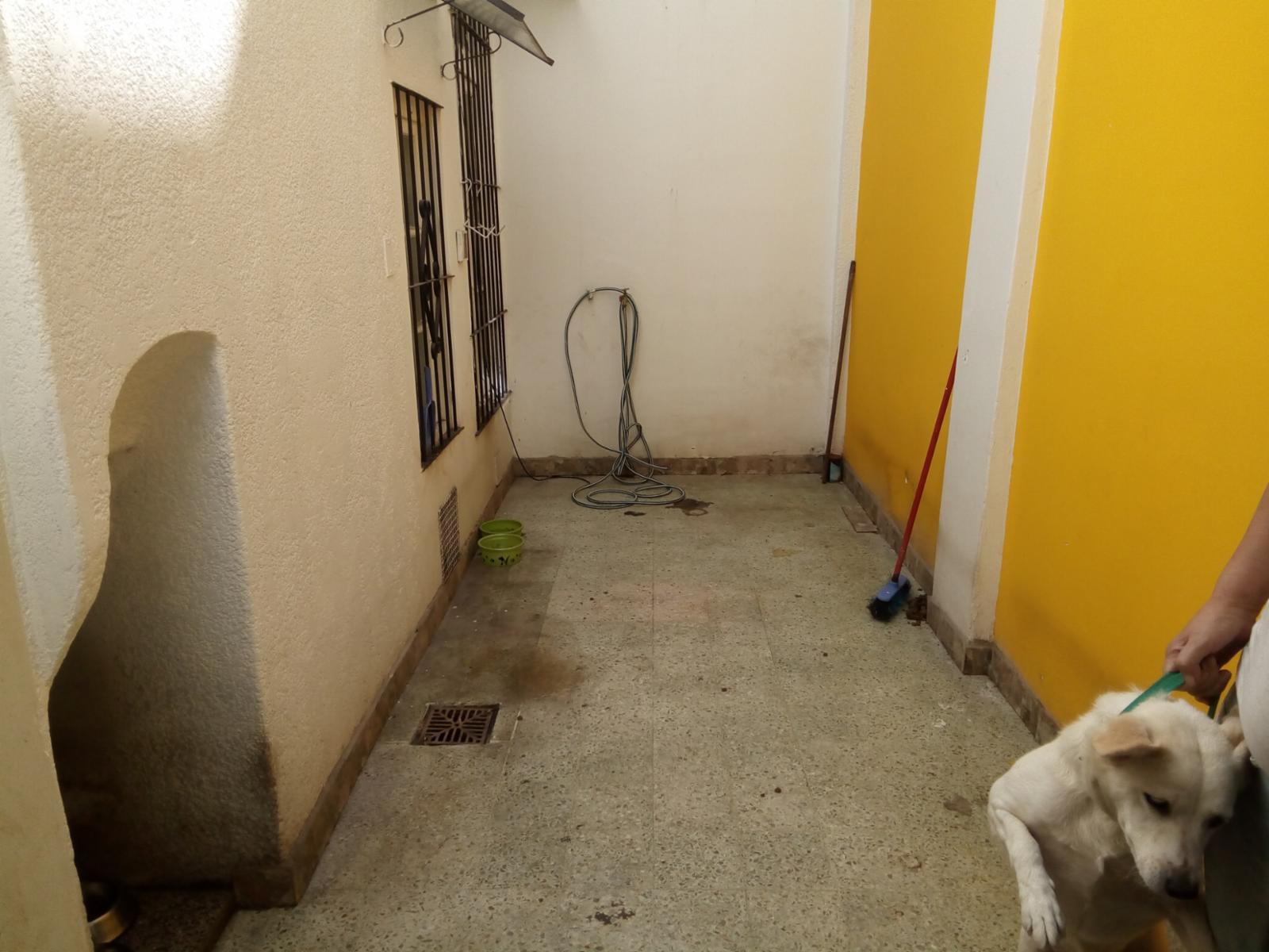 Pje Tacuara 1500 · Floresta — foto 35