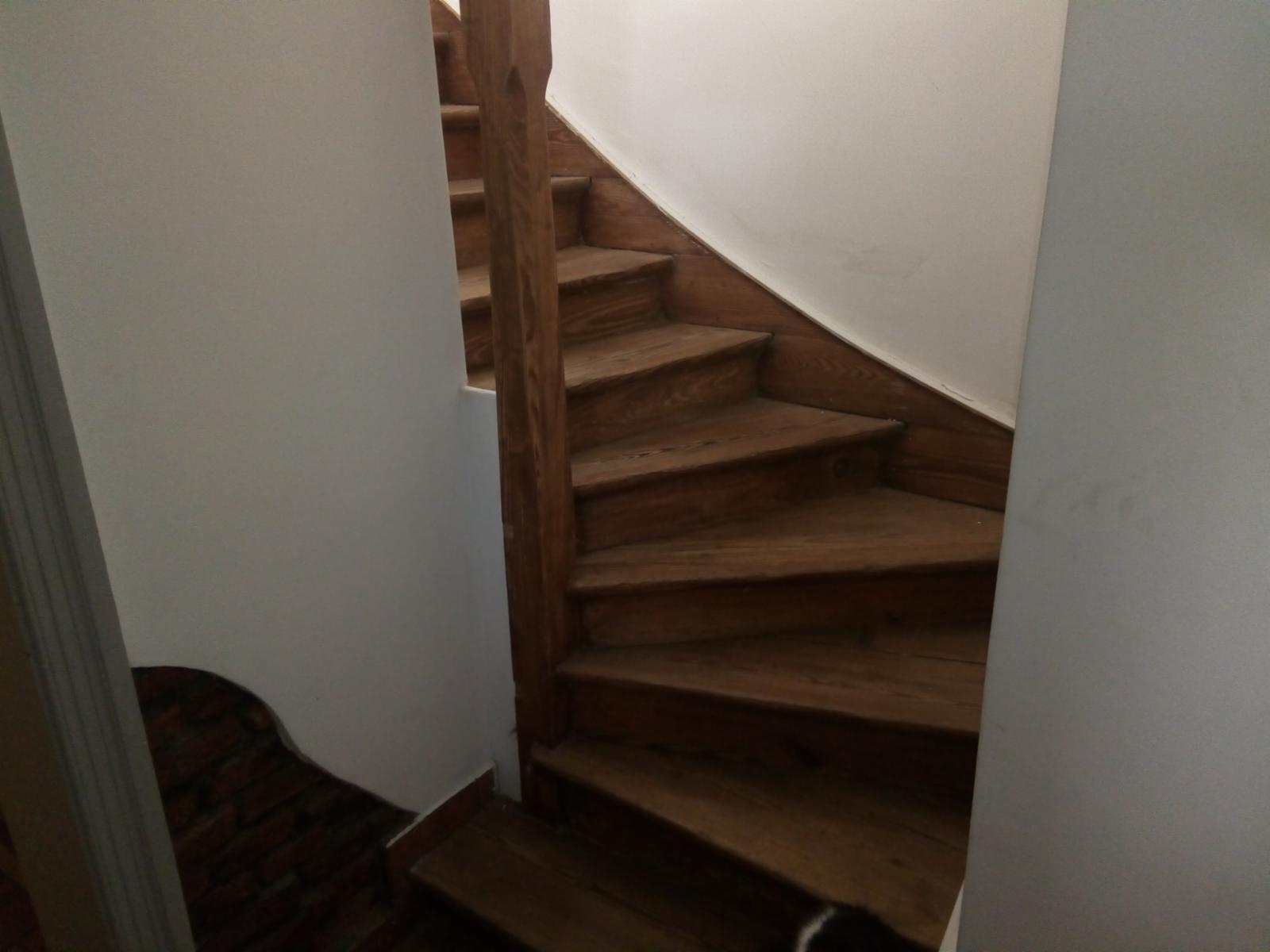 Pje Tacuara 1500 · Floresta — foto 10