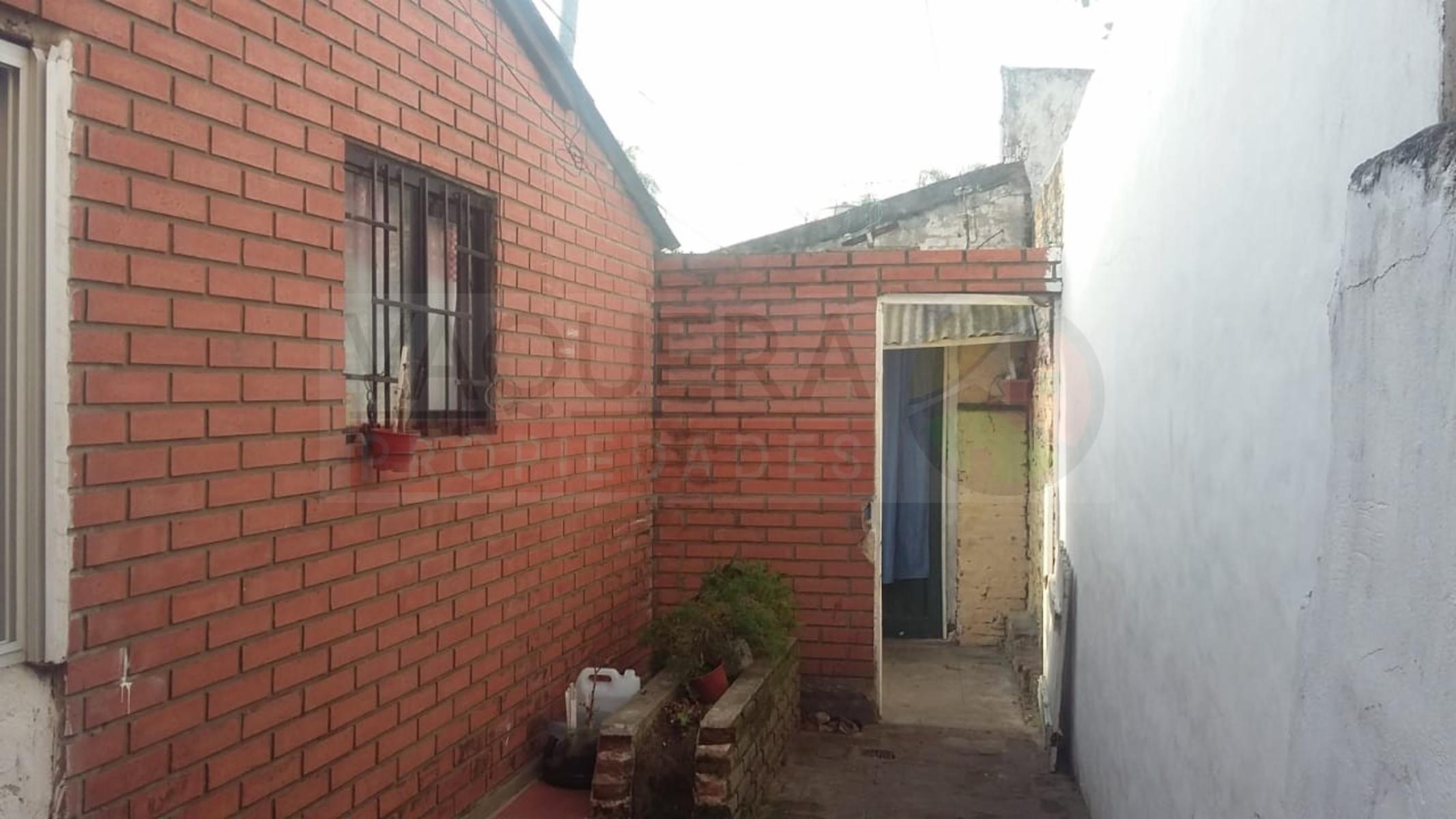 Paso 180 · Tigre — foto 4