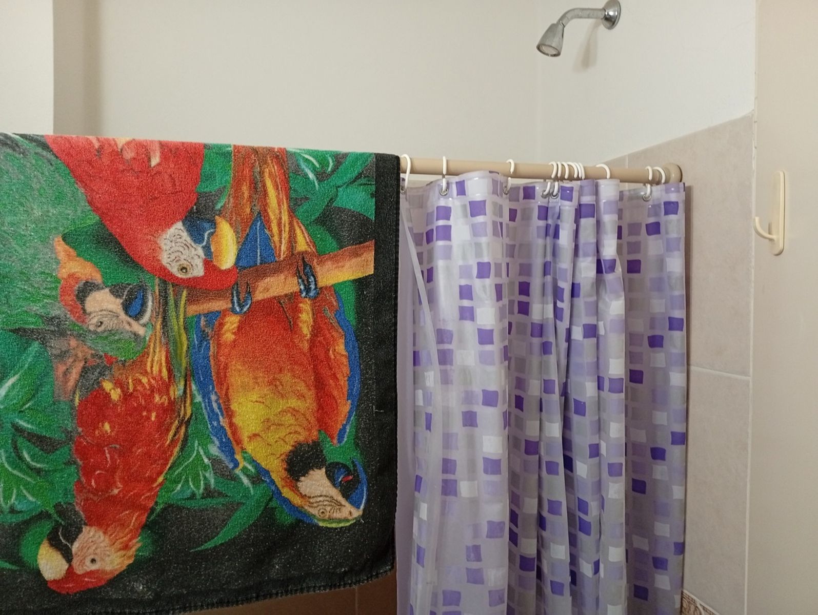 Finlay 45 · Punilla — foto 24