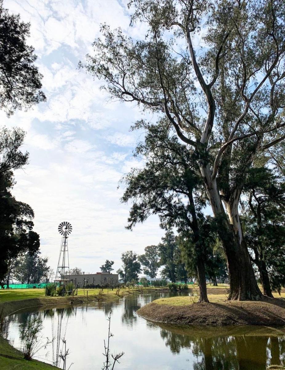 Ruta 58, Km 16- San Lucas 00 Canning, Bs.as. · Ezeiza — foto 10
