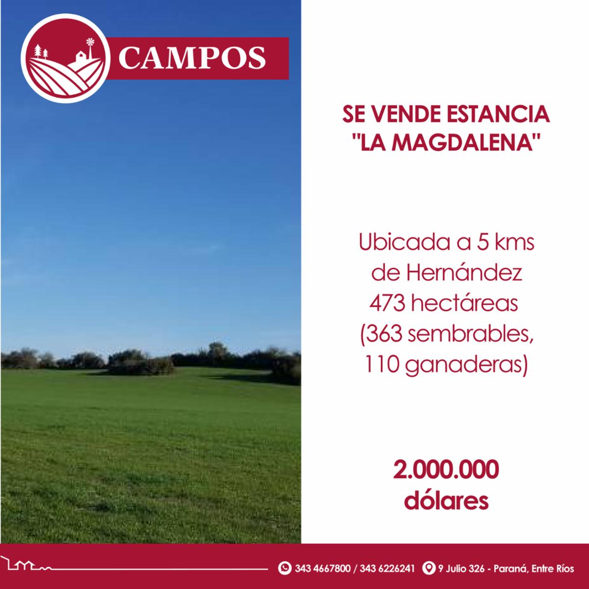Se vende estancia &quotLa Magadalena&quot