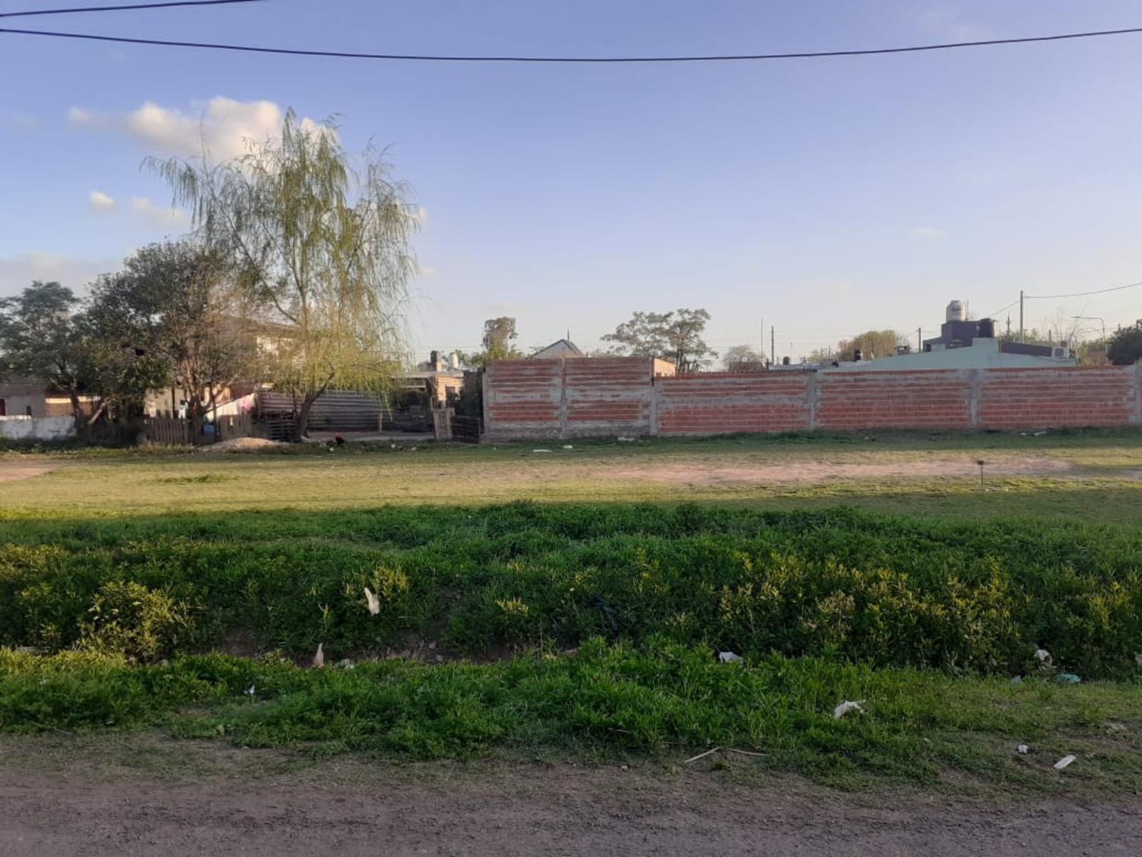 cantoia entre mandolini y rodriguez · San Lorenzo — foto 3