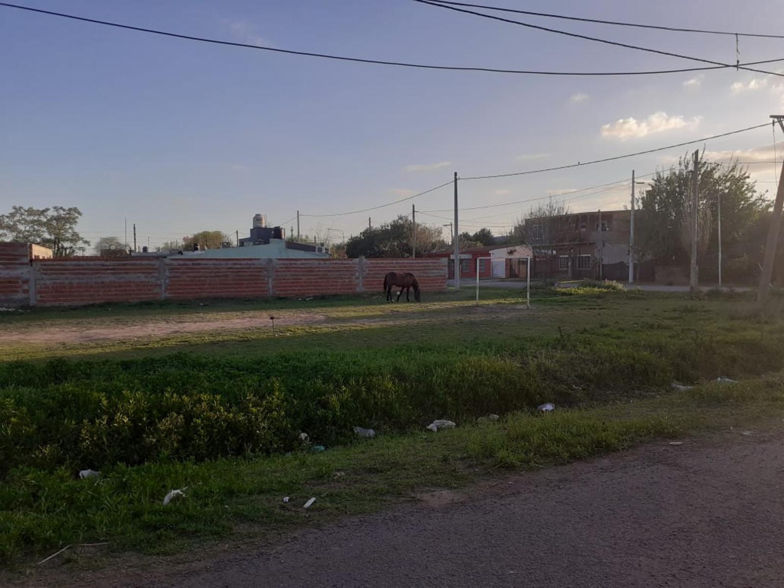 cantoia entre mandolini y rodriguez · San Lorenzo — foto 4