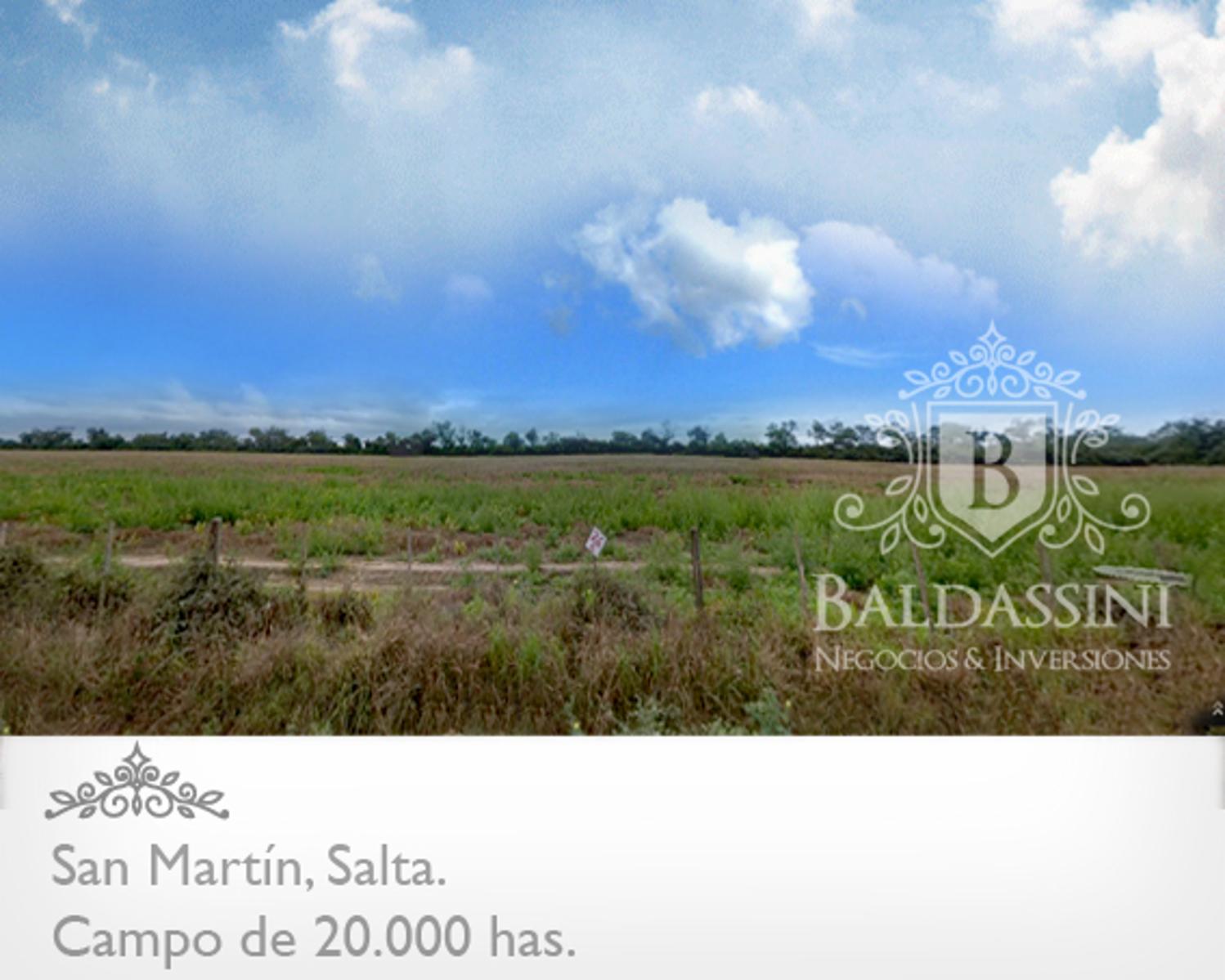 CAMPO MIXTO DE 20.422 HAS EN SAN MARTÍN, PROVINCIA DE SALTA. ALTAMENTE PRODUCTIVO. EQUIPADO Y ARMADO. LADO SUR CON FRONTERA A BOLIVIA. CON PISTA DE ATERRIZAJE.
