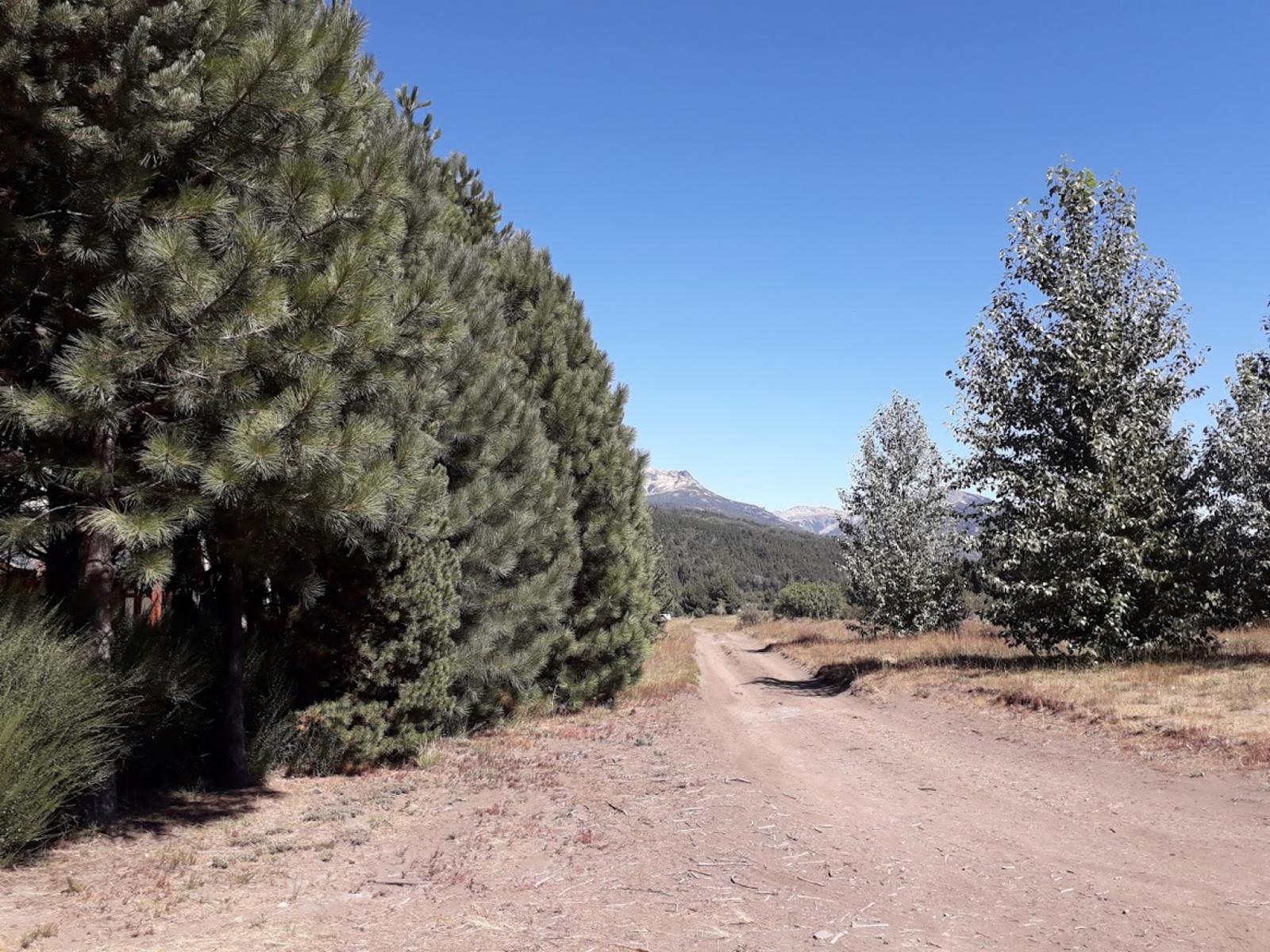 Ruta 63 · Lacar — foto 16