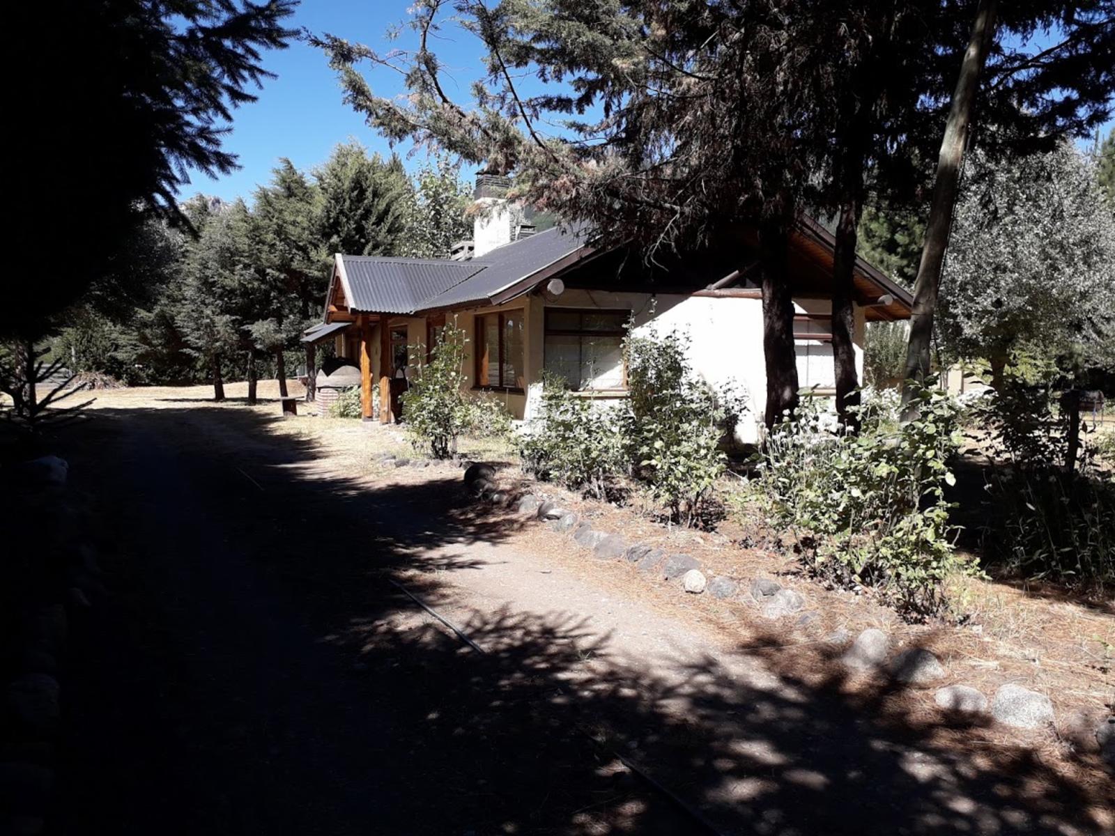 Ruta 63 · Lacar — foto 19