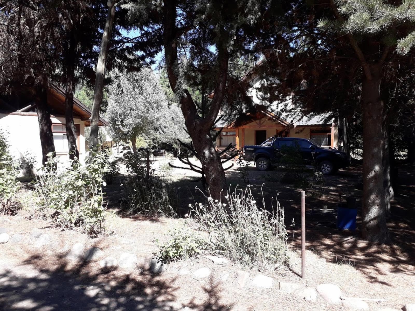 Ruta 63 · Lacar — foto 20