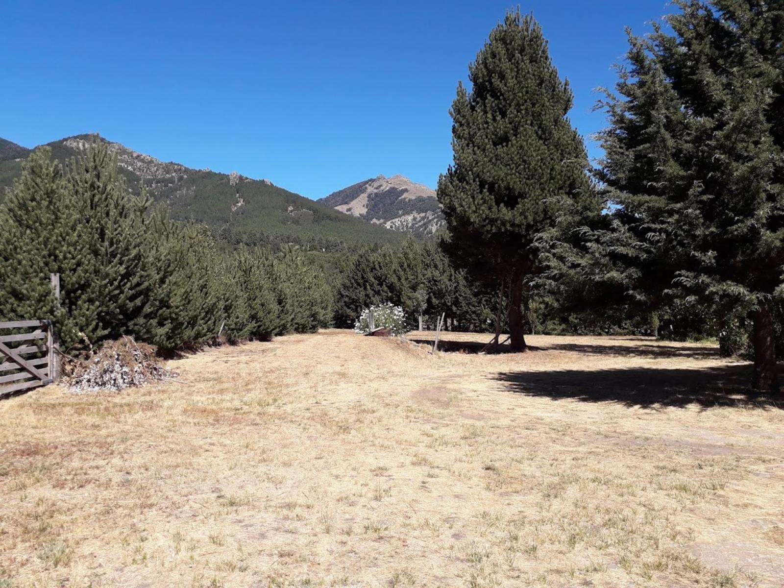 Ruta 63 · Lacar — foto 25