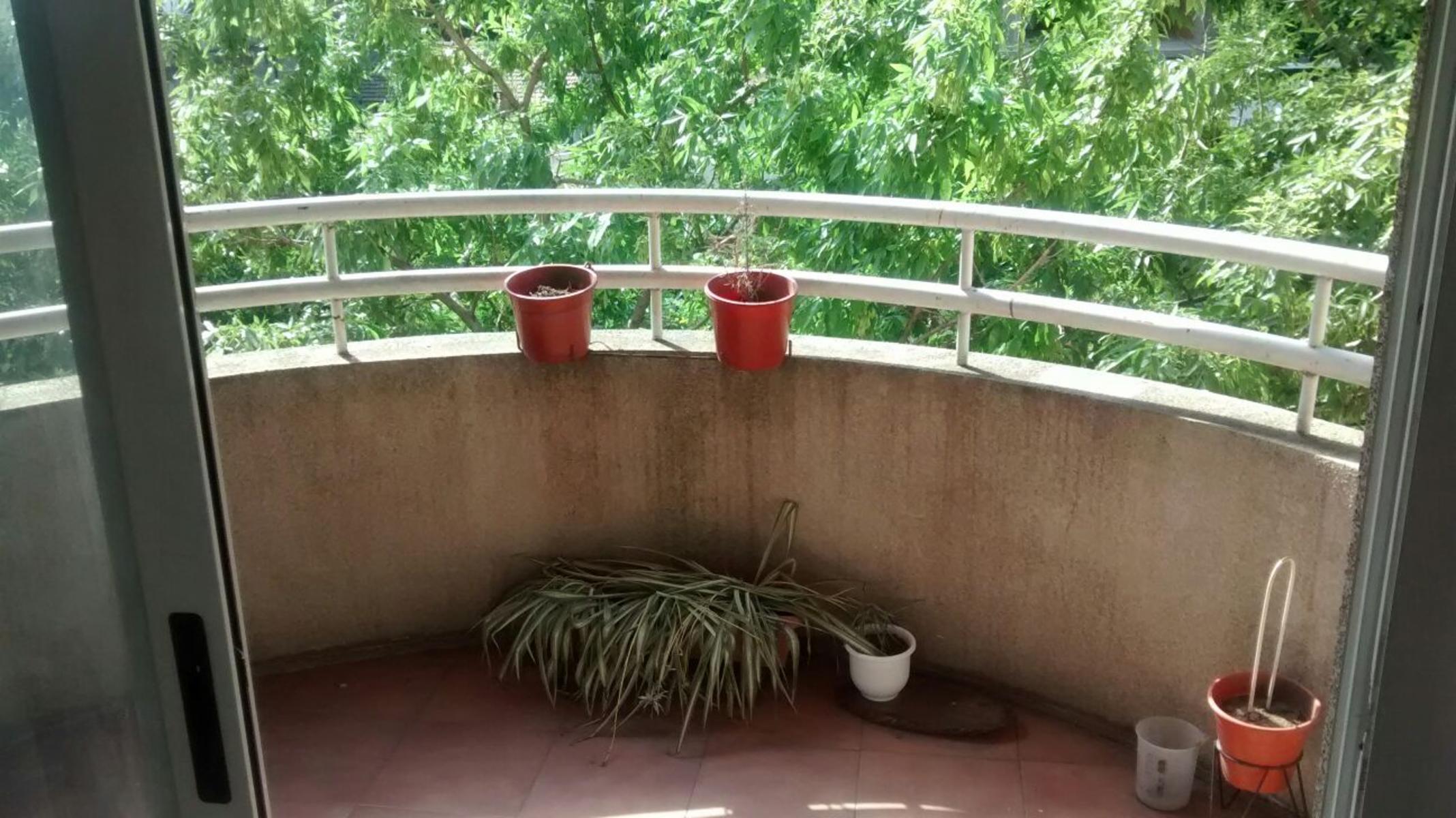Dos departamentos a la venta en el centro de San Miguel
