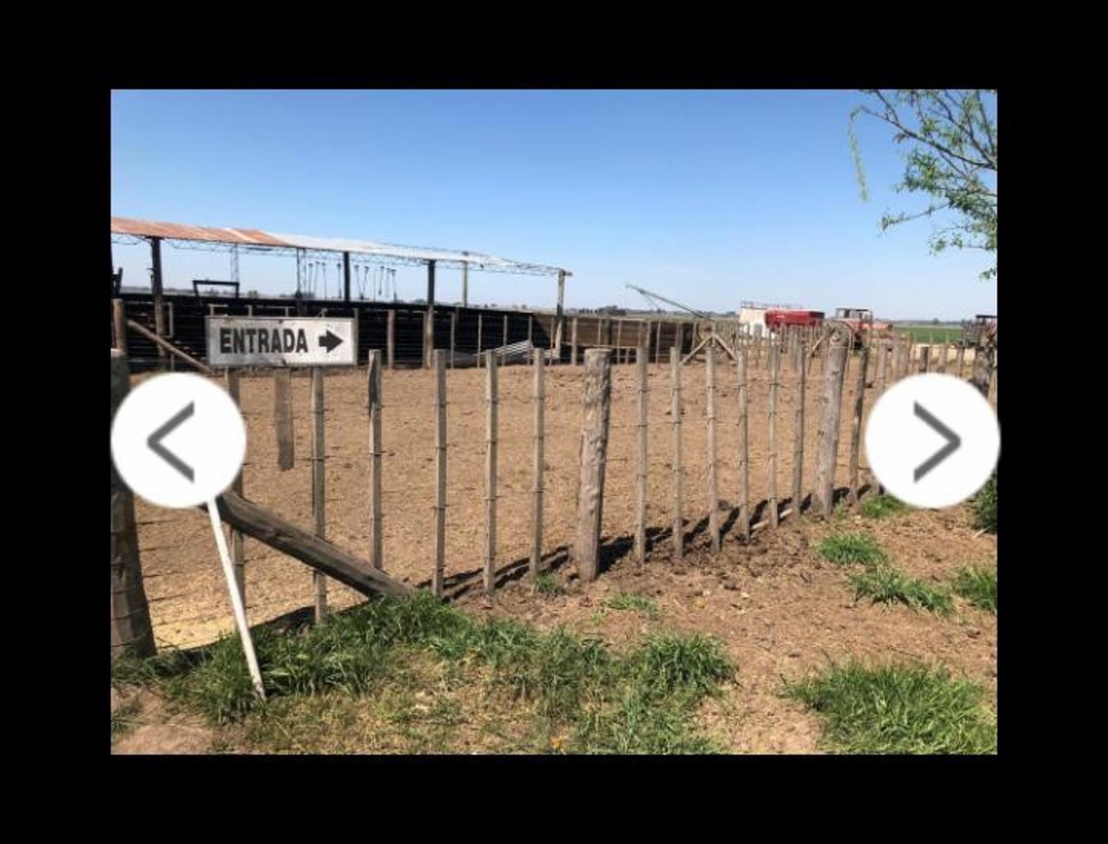17 HECTAREAS EN SAN PEDRO