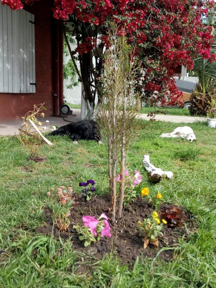LONGCHAMPS  - Casa CON PILETA APTA CREDITO HIPOTECARIO
