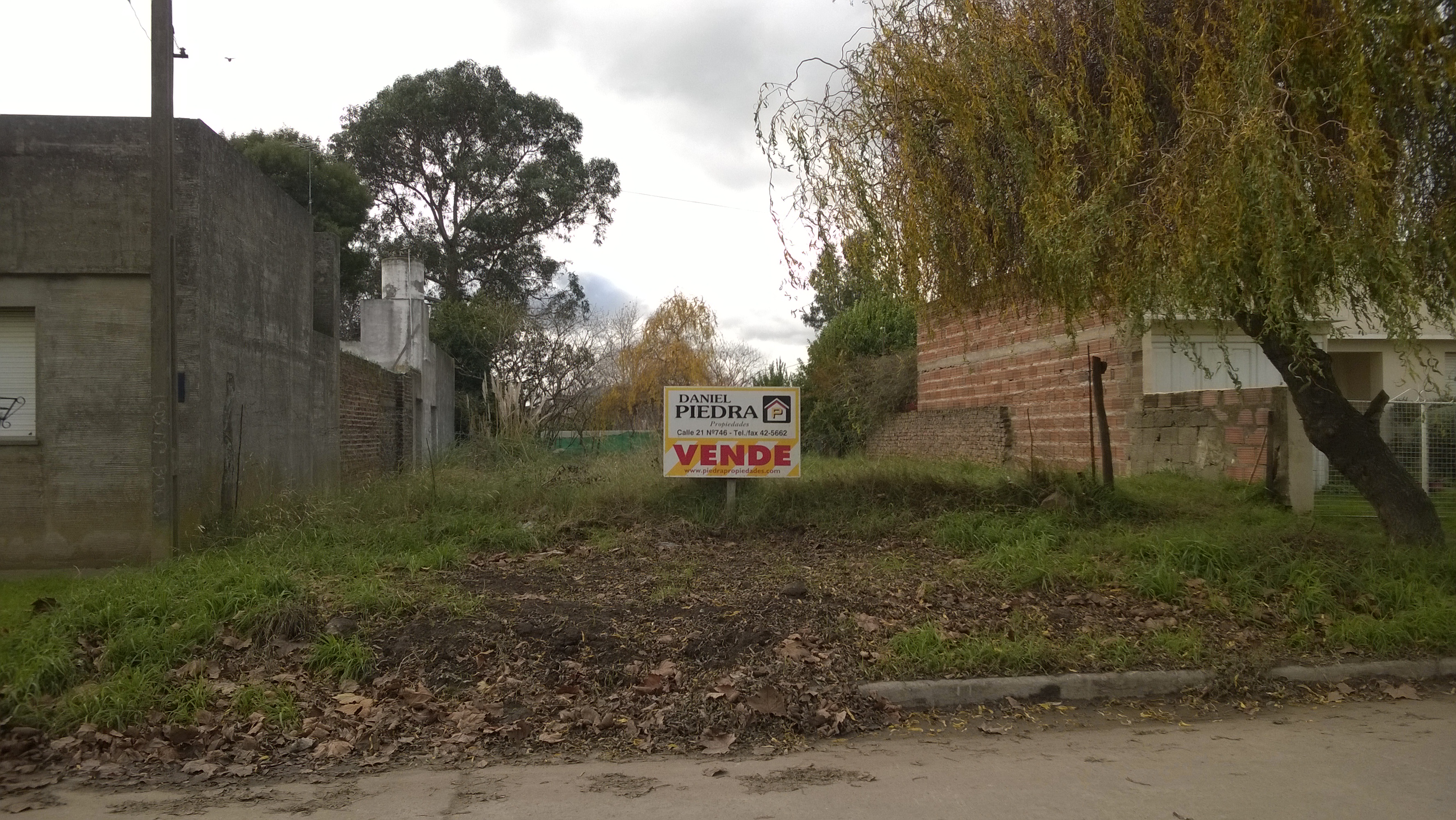 TERRENO