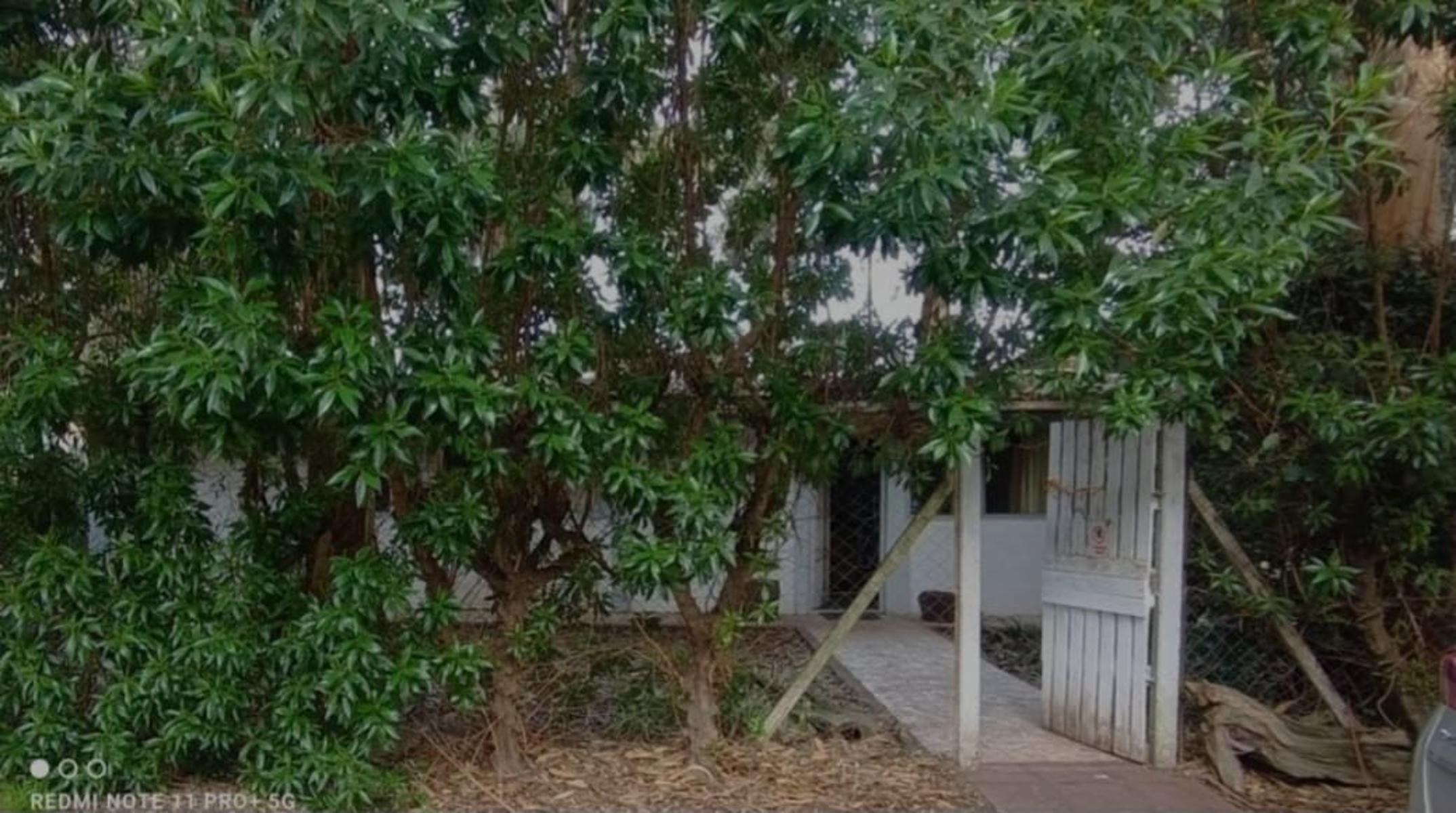 VENDO CABAÑA MAS DEPTO (BOSQUE PERALTA RAMOS) MDP · General Pueyrredon — foto 4