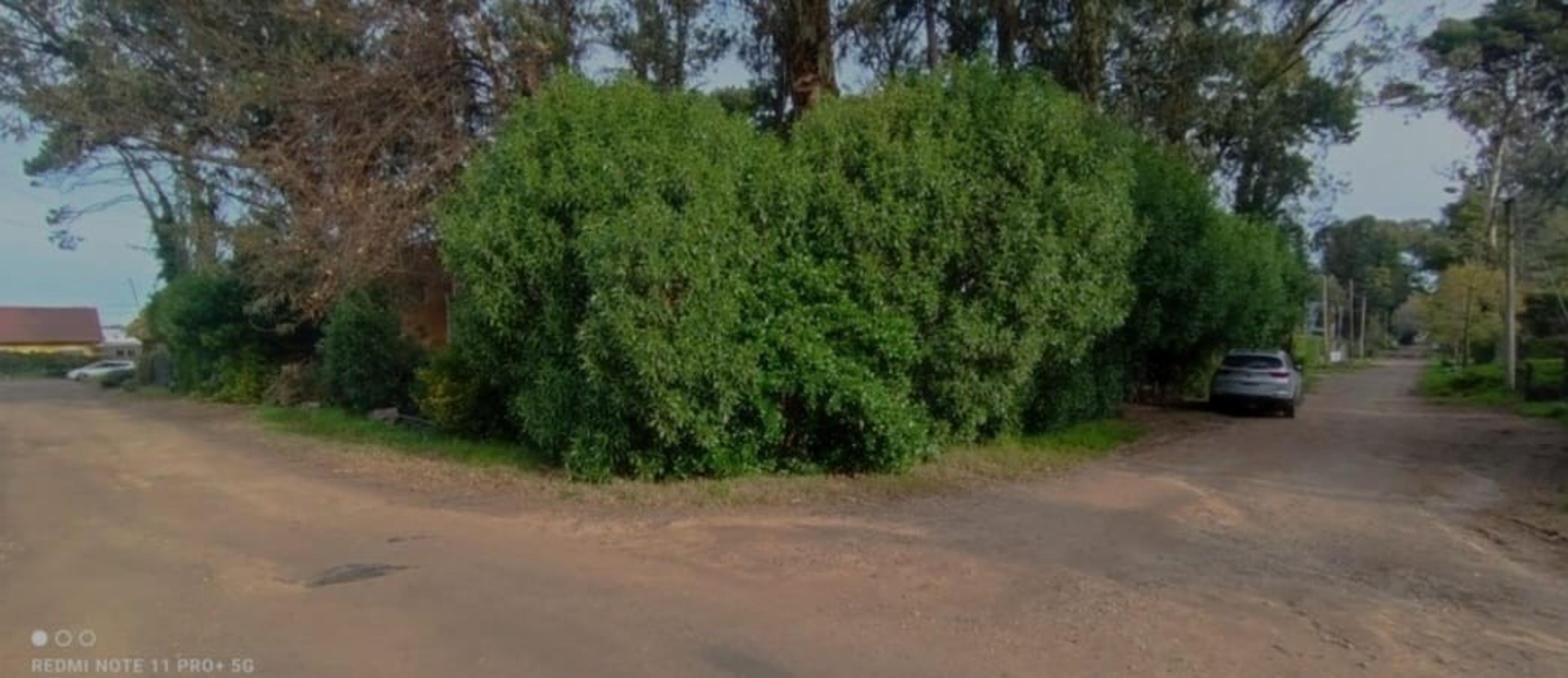 VENDO CABAÑA MAS DEPTO (BOSQUE PERALTA RAMOS) MDP · General Pueyrredon — foto 5