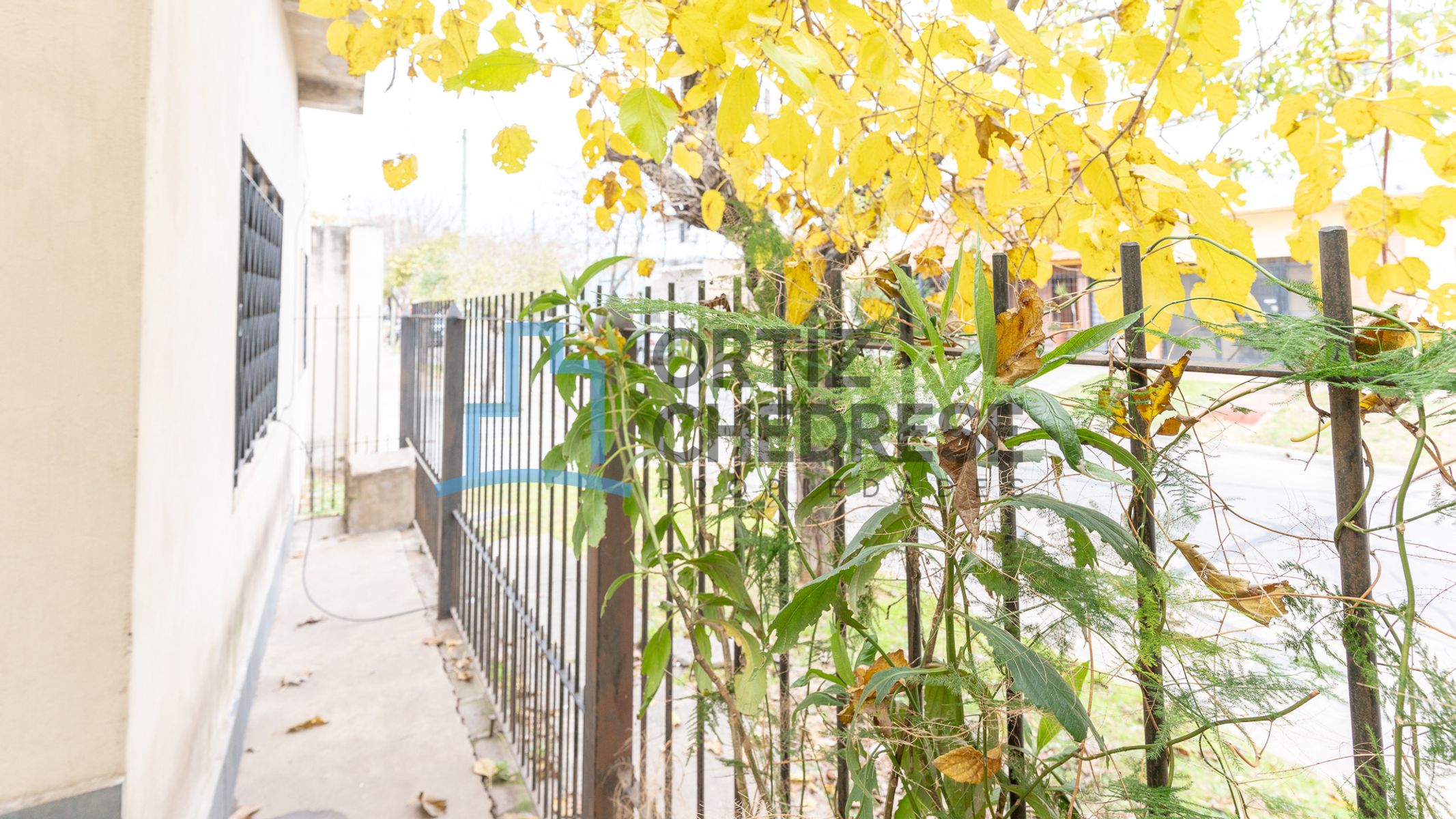 Lonardi 1700 · San Isidro — foto 21