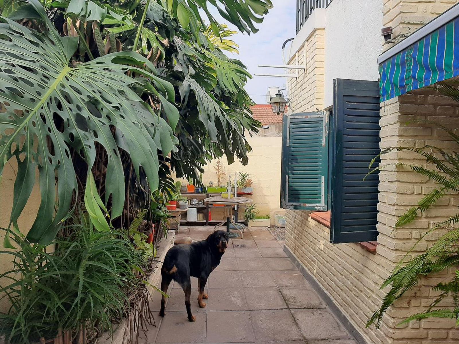 Sitios de Montevideo 1800 · Lanús — foto 8