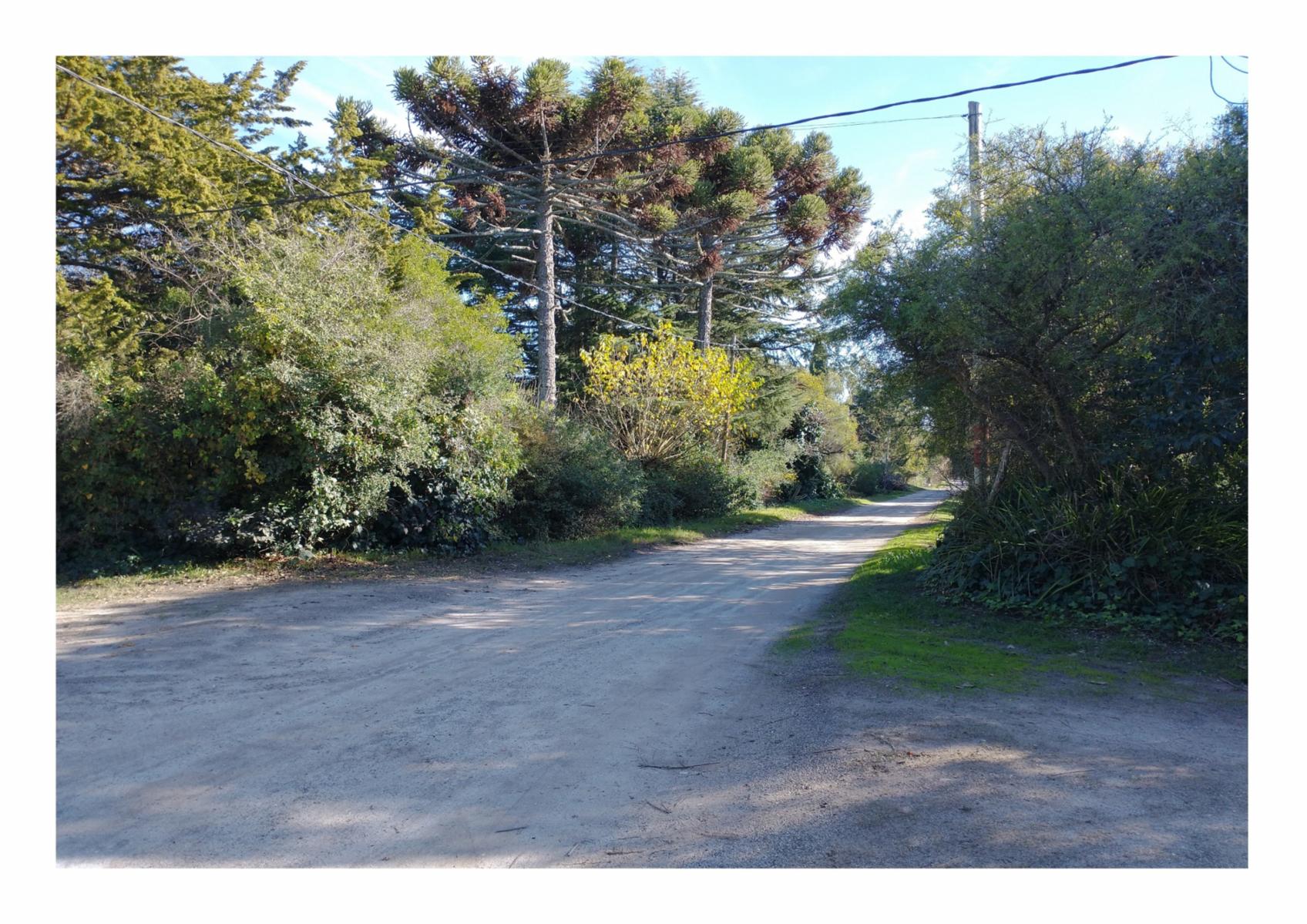 Azcuénaga esquina Moreno · Punta Indio — foto 8