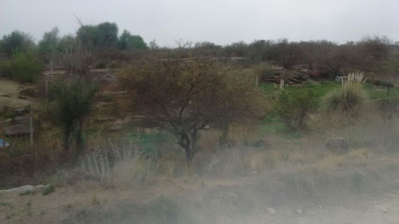 Benteveo · Punilla — foto 3