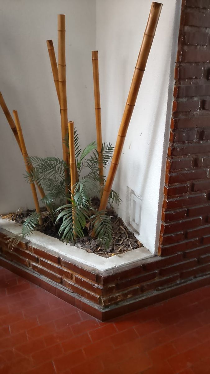 juramento 2790, 2 piso, caba, · Belgrano — foto 13