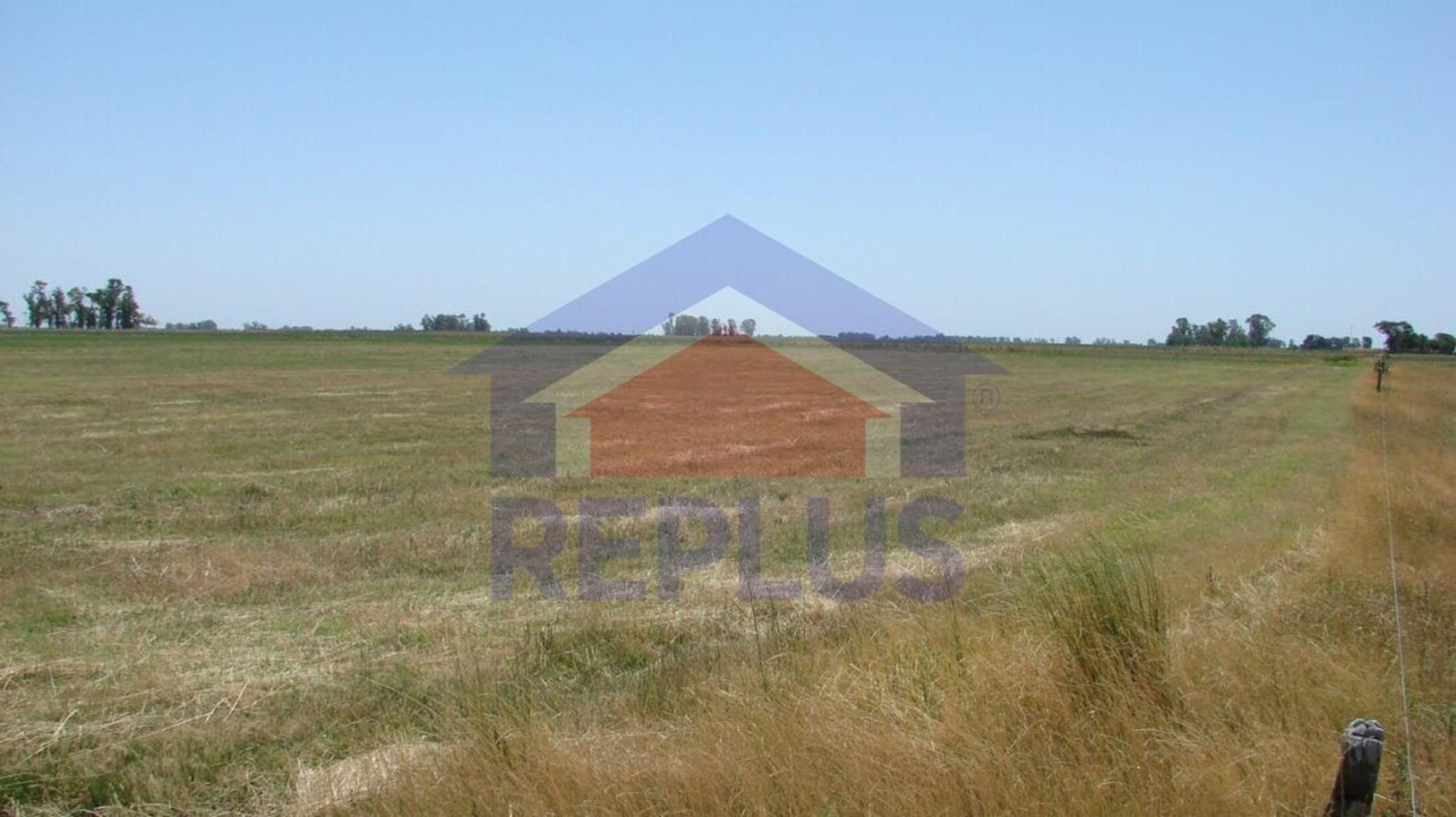 Ruta 5 · Pehuajo — foto 5