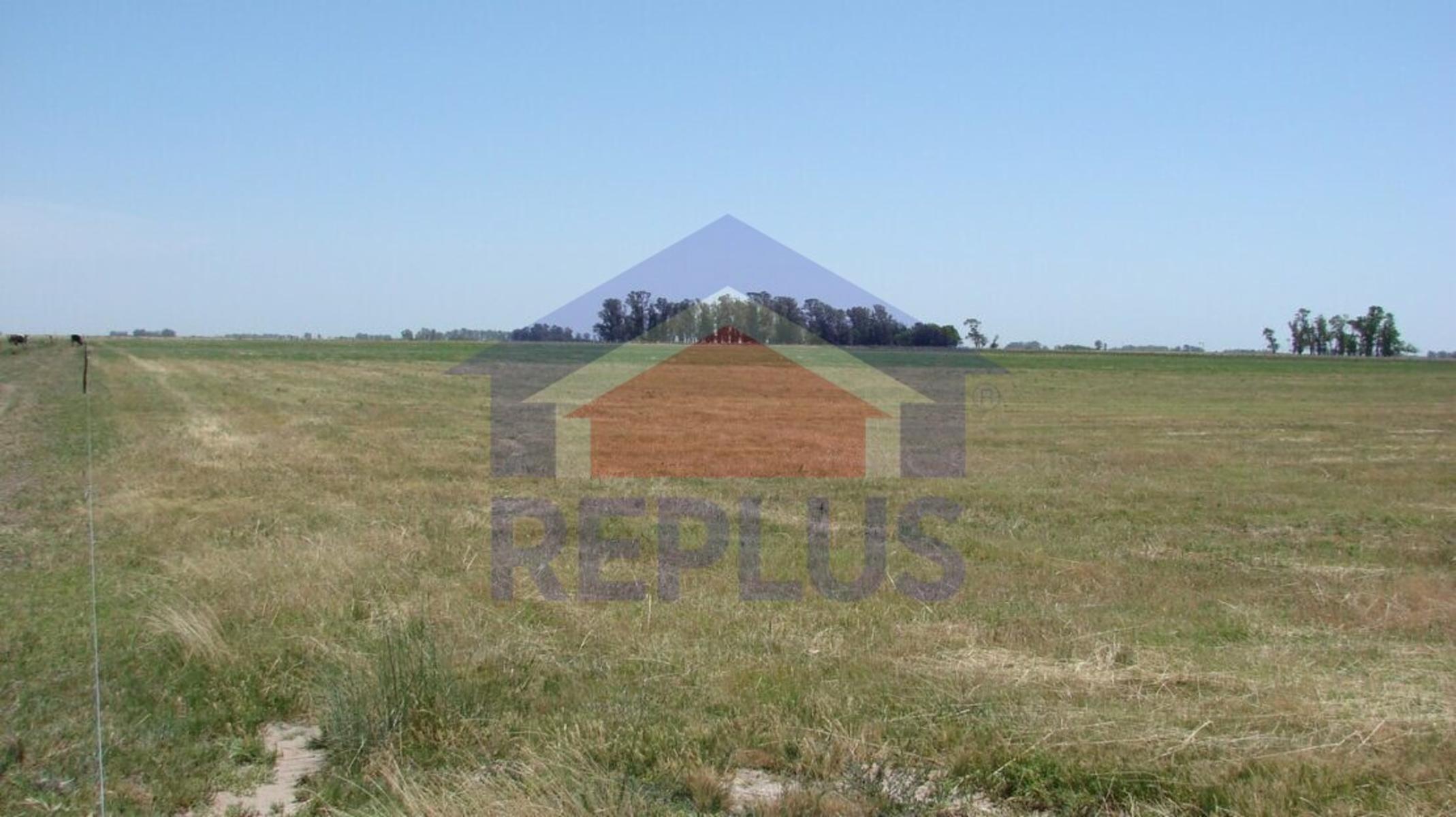 Ruta 5 · Pehuajo — foto 6