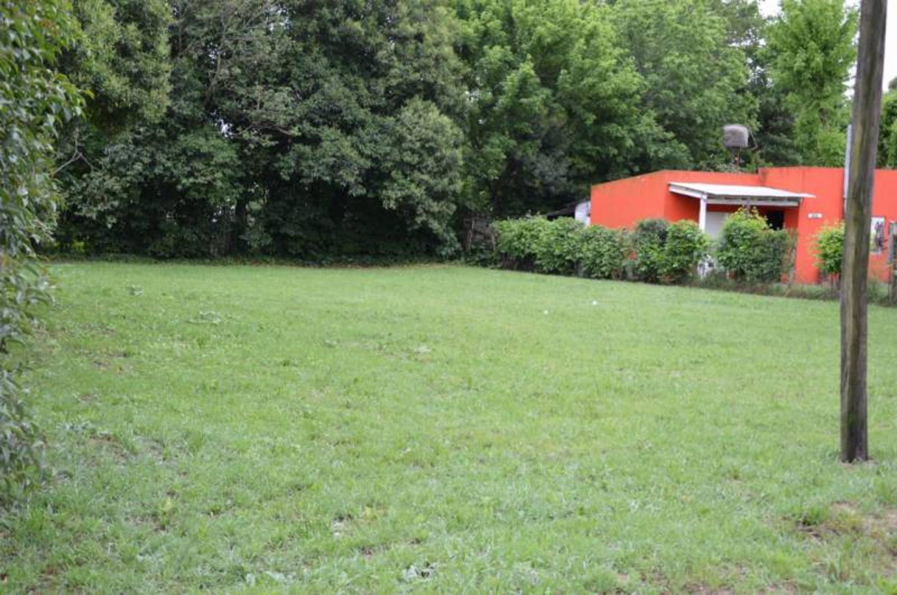 Lote calle 59 800 – General Belgrano