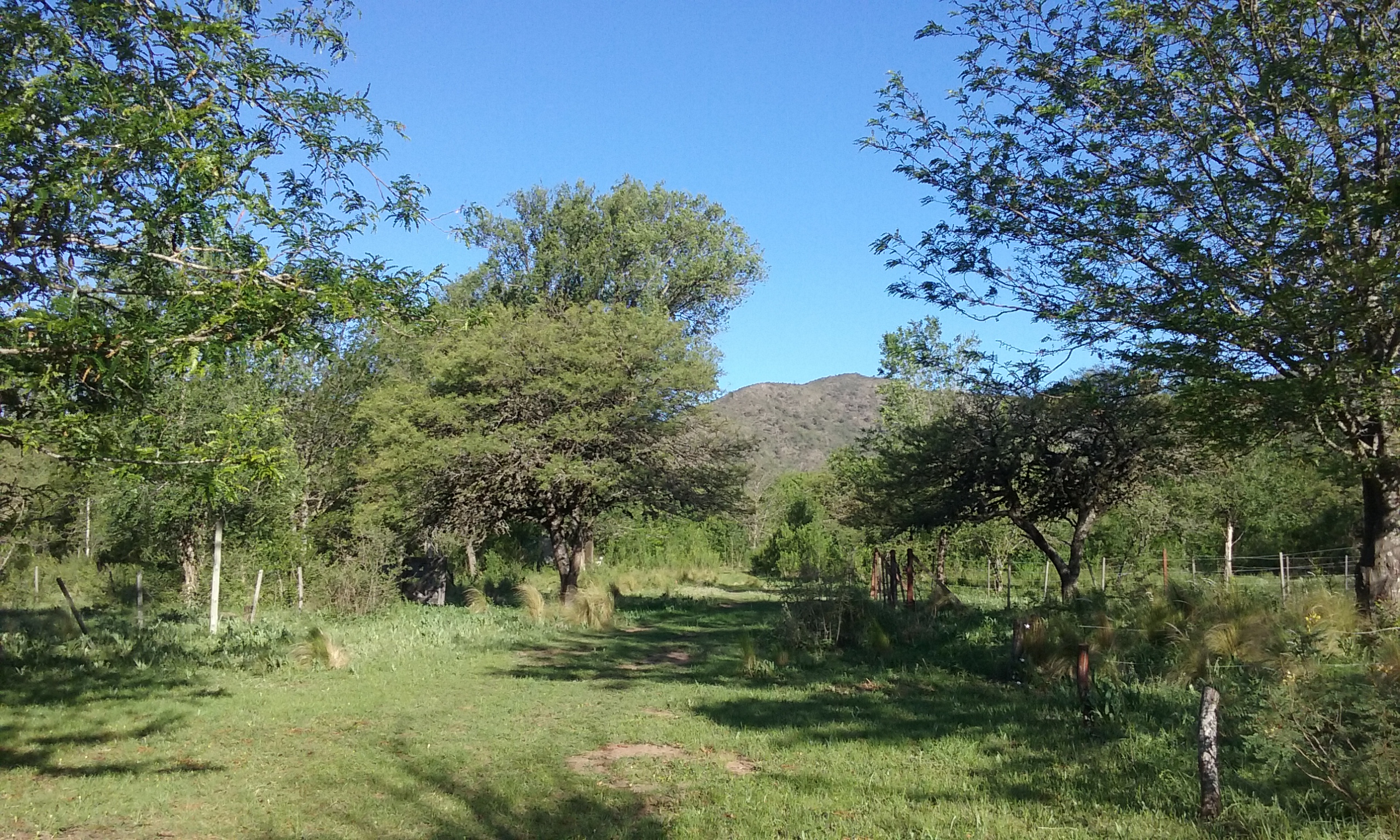 Calle S/N · Calamuchita — foto 3