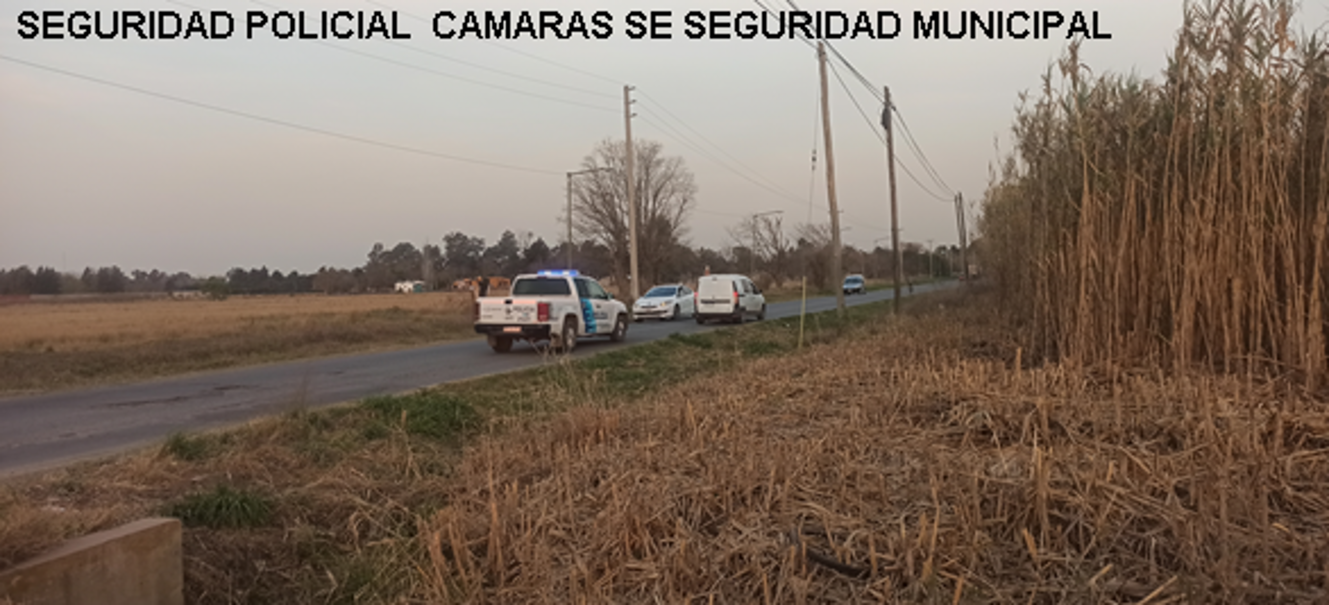 Constituyentes · Merlo — foto 7