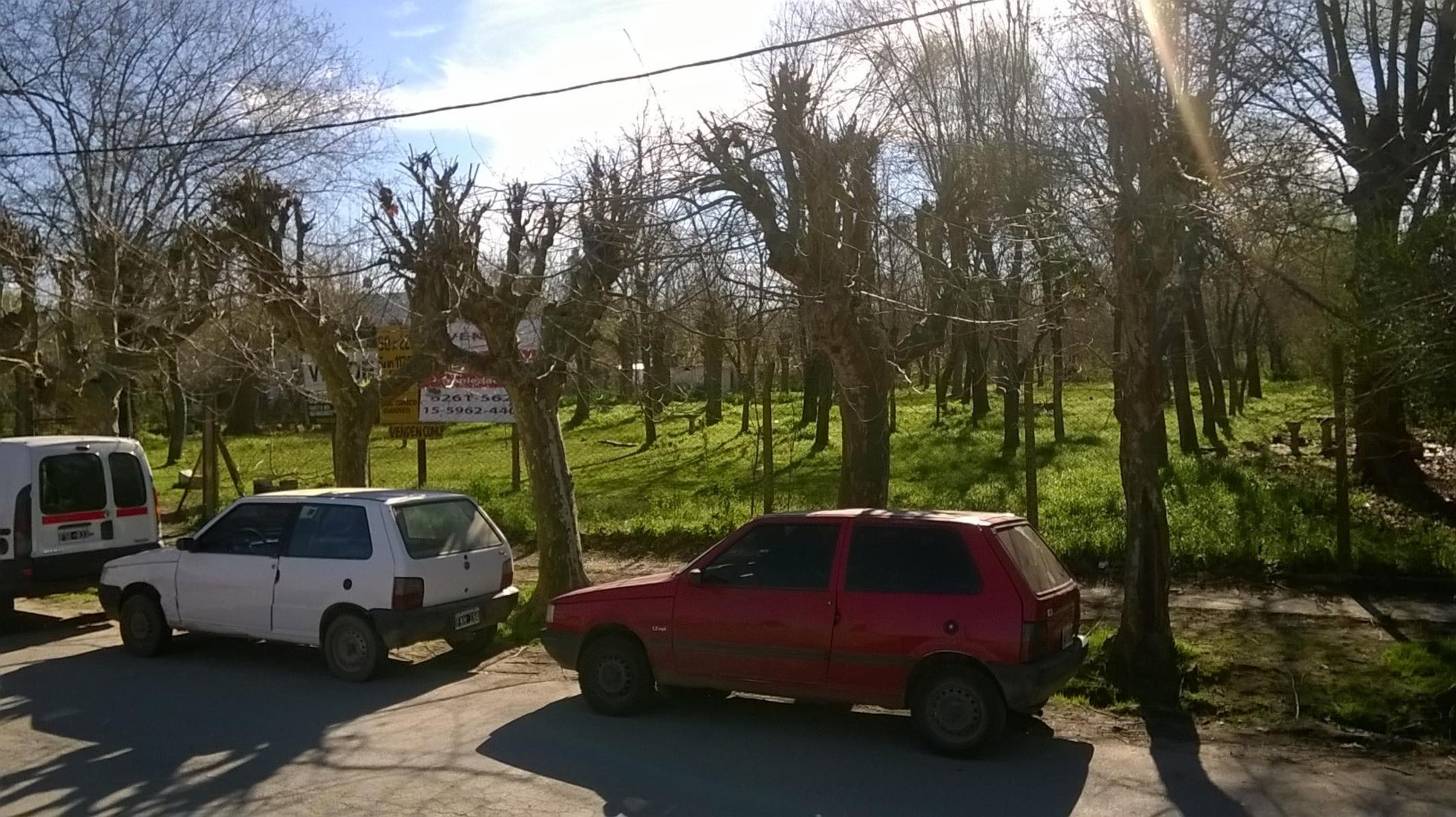 Dique Lujan - Villa la Ñata - Sobre Canal Villanueva · Tigre — foto 3