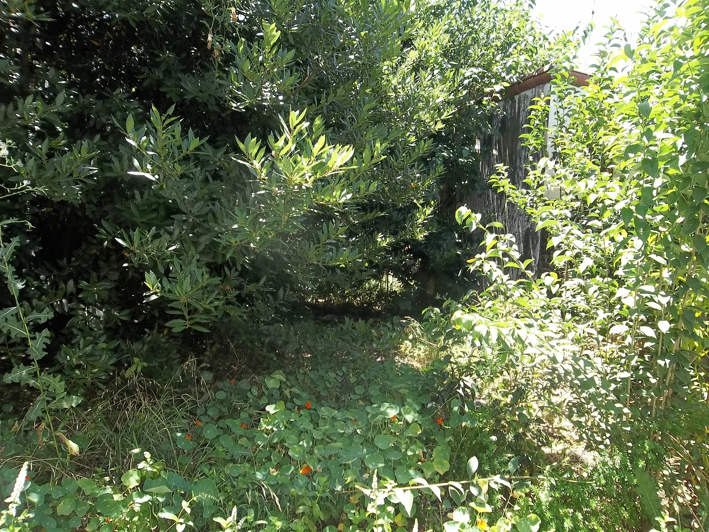 Alvarez de Arenales al 800 · Morón — foto 3