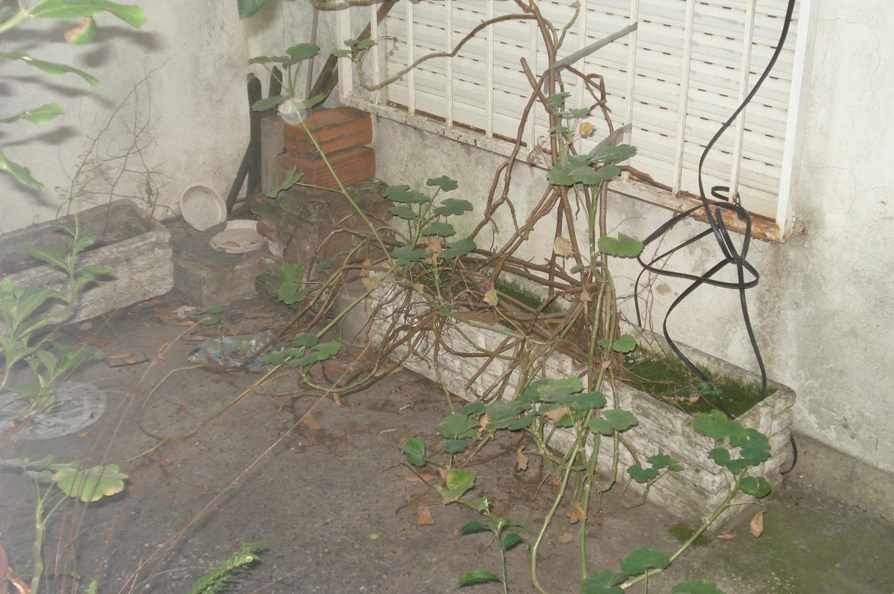 Achala 2600 · La Matanza — foto 13