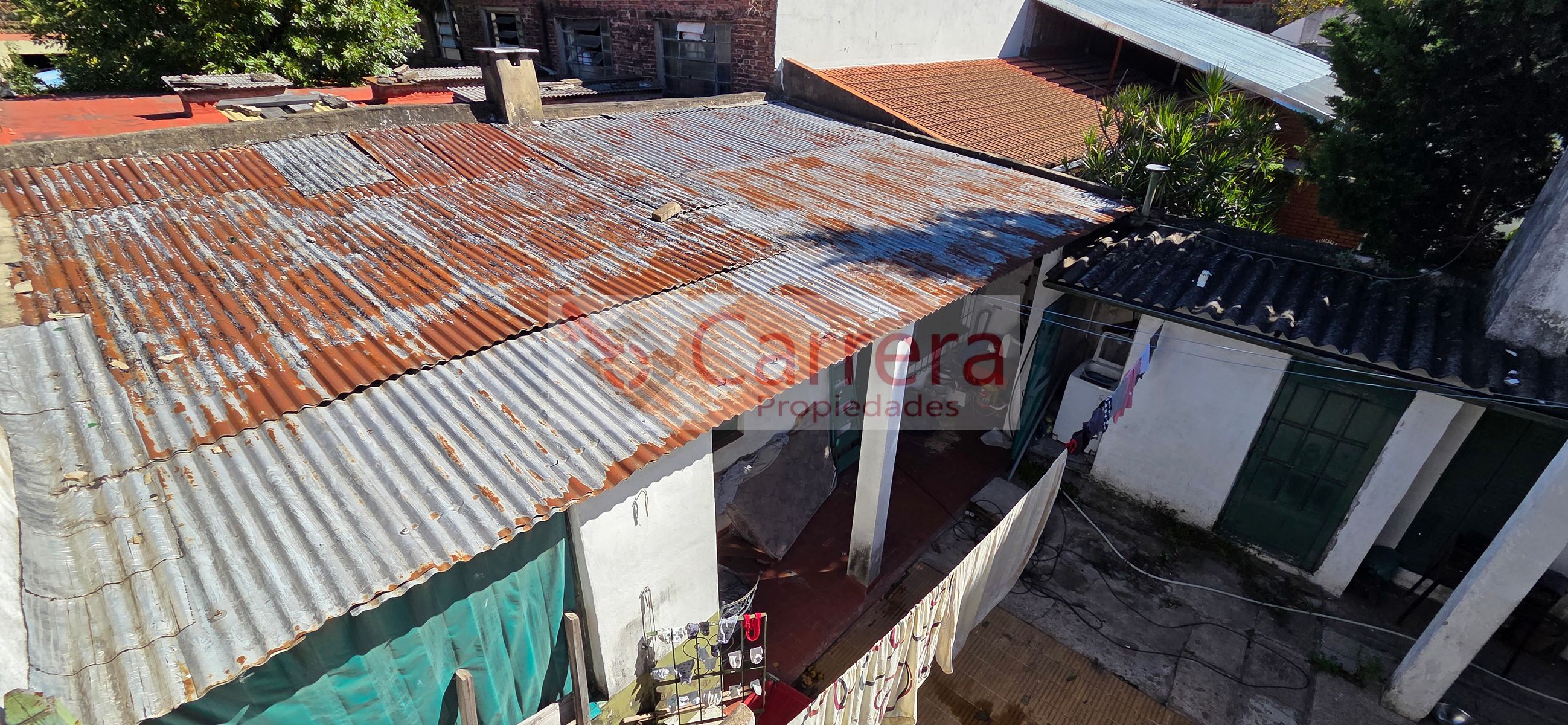 canese 3542 · San Martín — foto 12